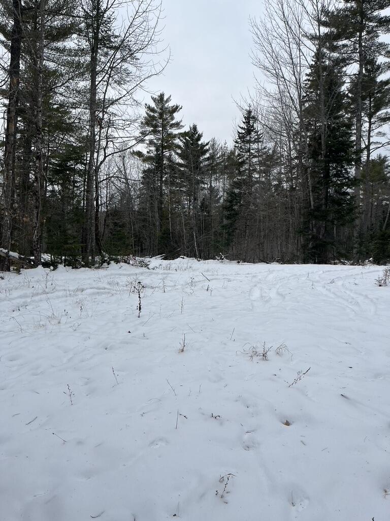 5 Fickett Road Etna, ME 04434 - Photo 21 of 23