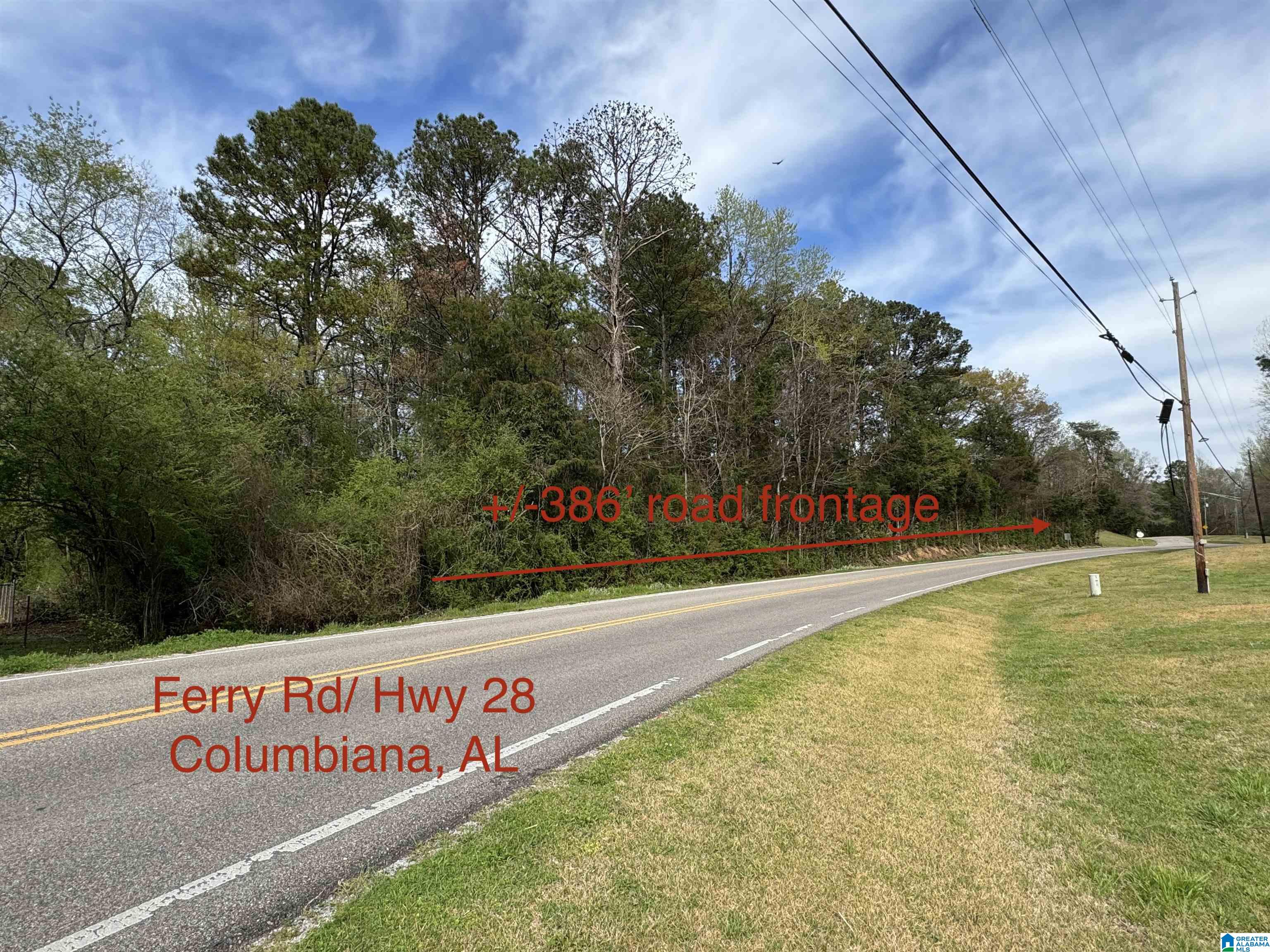 0 Ferry Road Columbiana, AL 35051 - Photo 3 of 7