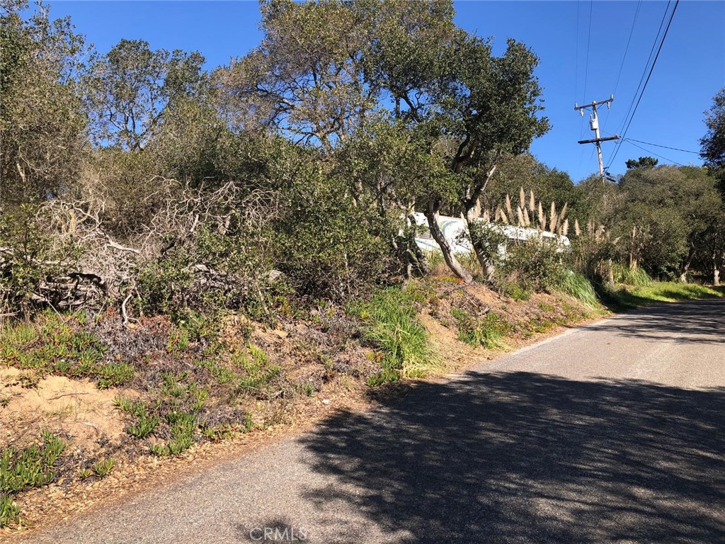 221 Tucker Road Watsonville, CA 95076 - Photo 3 of 9