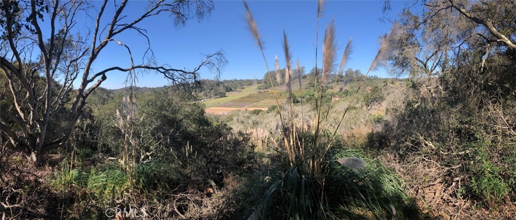 221 Tucker Road Watsonville, CA 95076 - Photo 4 of 9