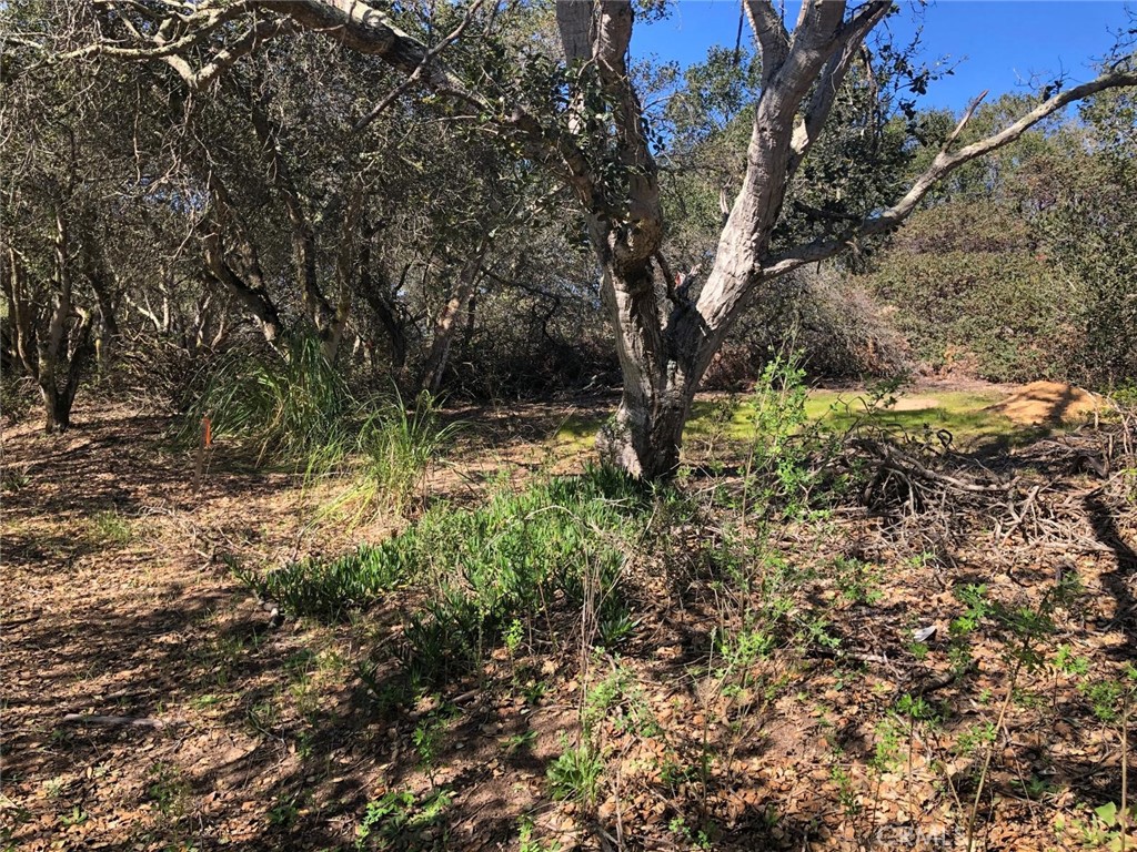 221 Tucker Road Watsonville, CA 95076 - Photo 5 of 9