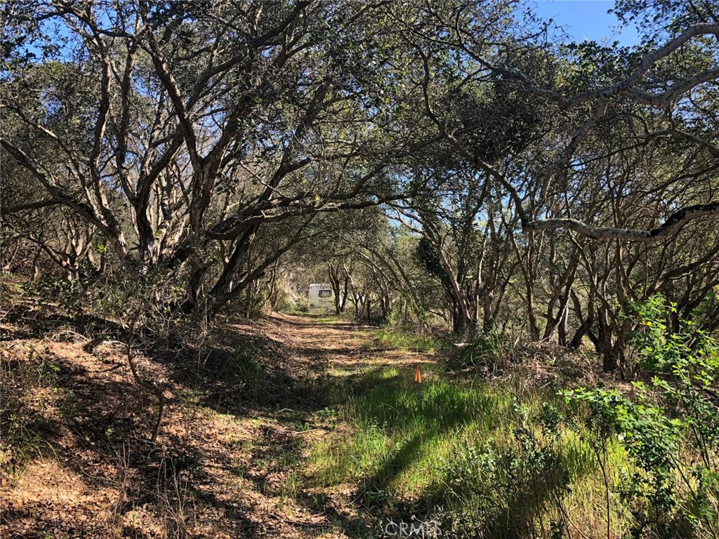 221 Tucker Road Watsonville, CA 95076 - Photo 8 of 9