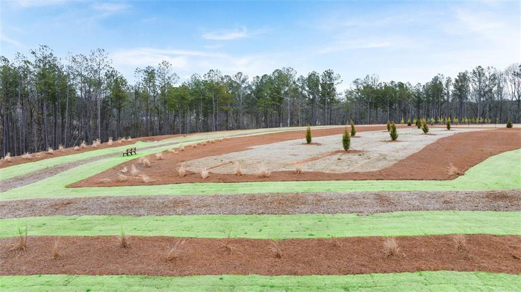 241 Sound Circle Stockbridge, GA 30281 - Photo 16 of 70 a backyard of a house with lots of green space