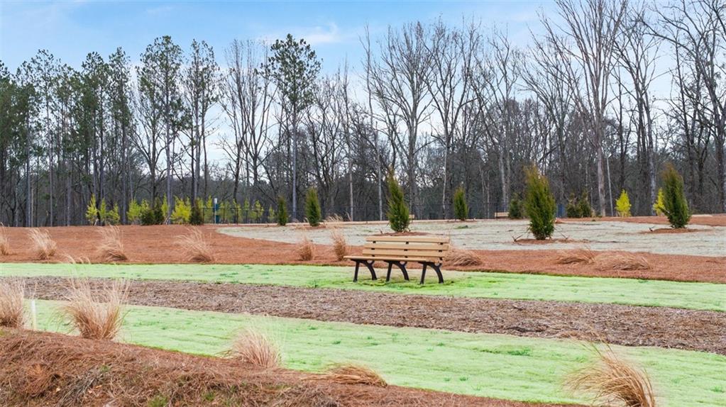 241 Sound Circle Stockbridge, GA 30281 - Photo 17 of 70 a view of park with trees