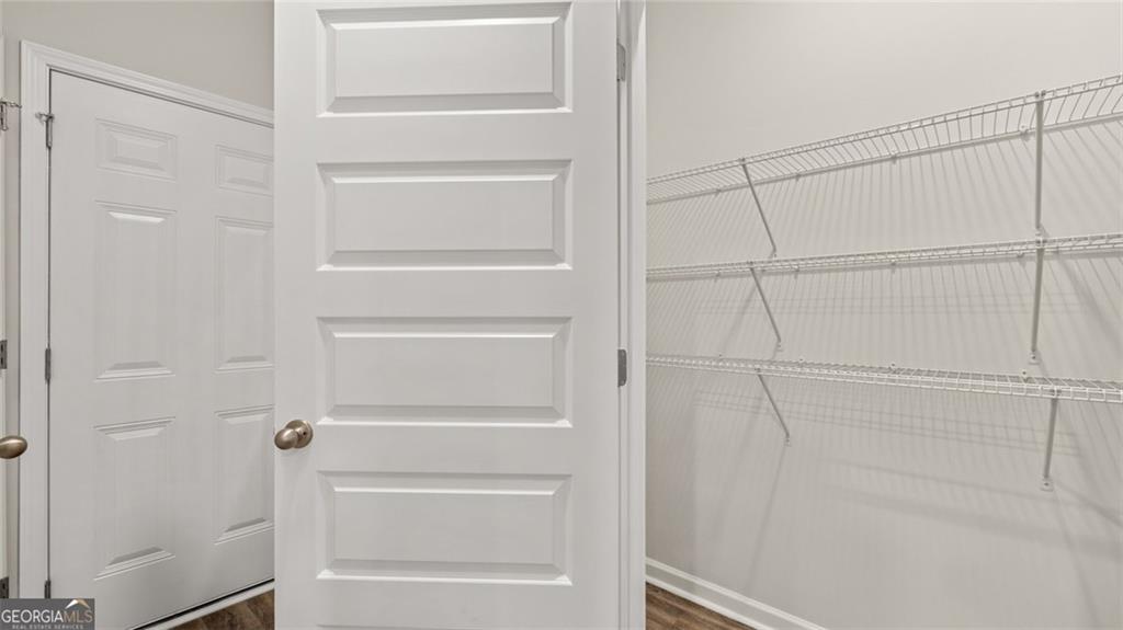 241 Sound Circle Stockbridge, GA 30281 - Photo 28 of 70 a view of walk in closet