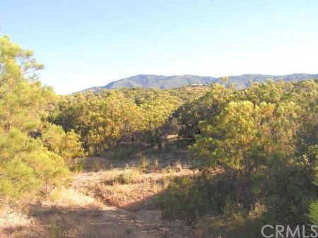38185 Anza Crest Road Anza, CA 92539 - Photo 1 of 1 Gallery Image 1