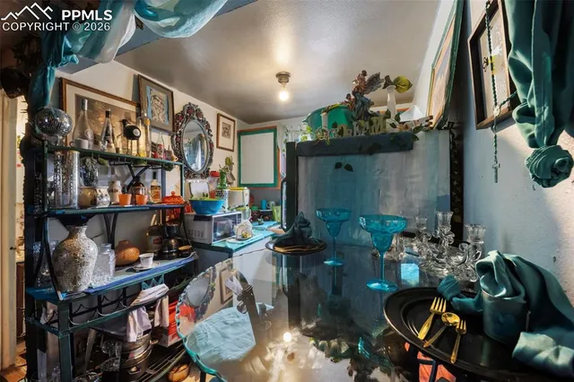 a living room filled with furniture and a potted plant