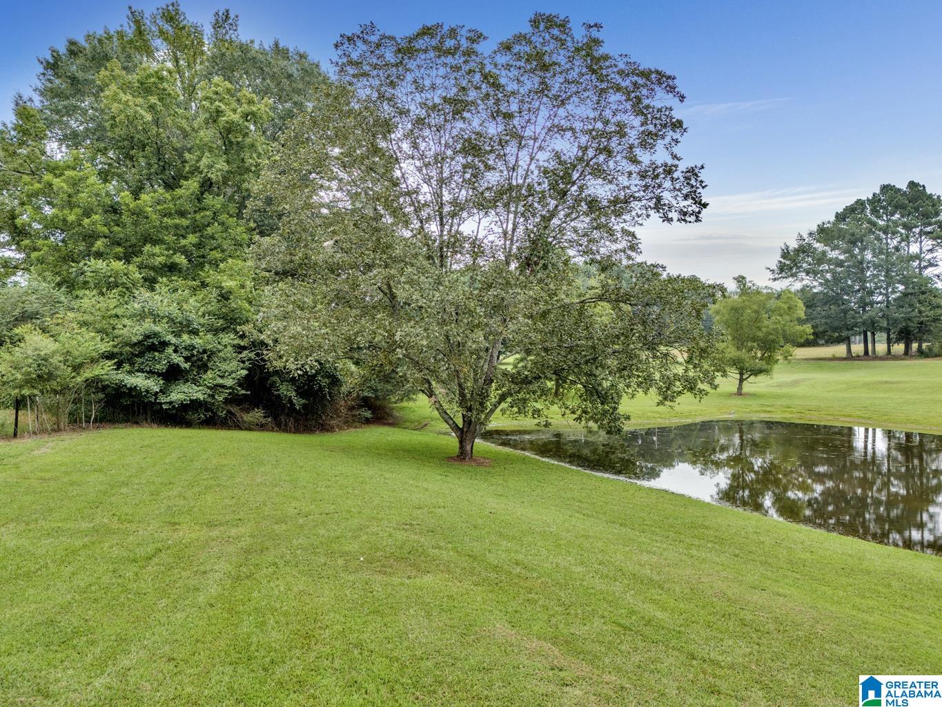 1695 Kent Road Oneonta, AL 35121 - Photo 3 of 70