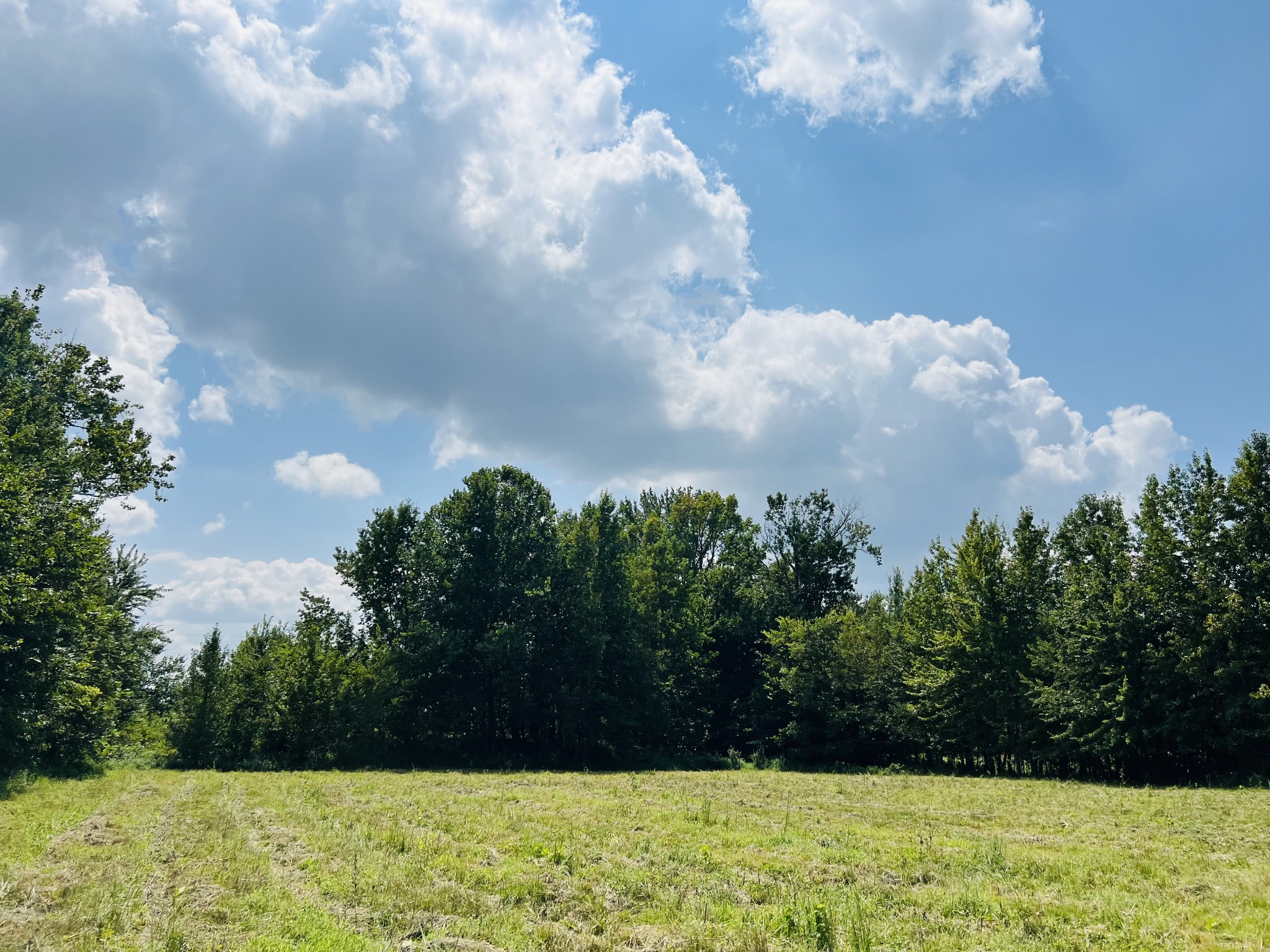 349 Woods Road Portland, TN 37148 - Photo 1 of 4 Gallery Image 1