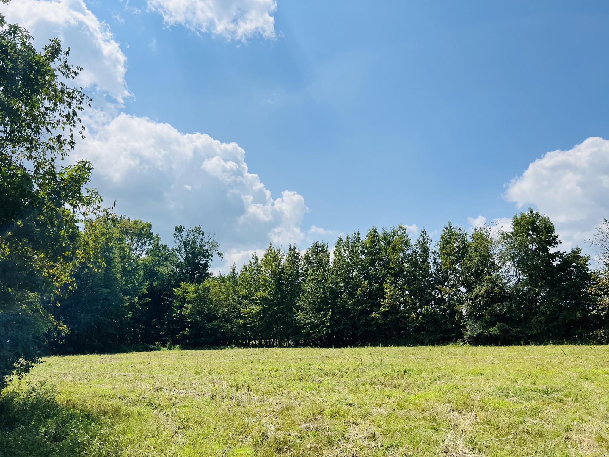 349 Woods Road Portland, TN 37148 - Photo 3 of 4 Gallery Image 3
