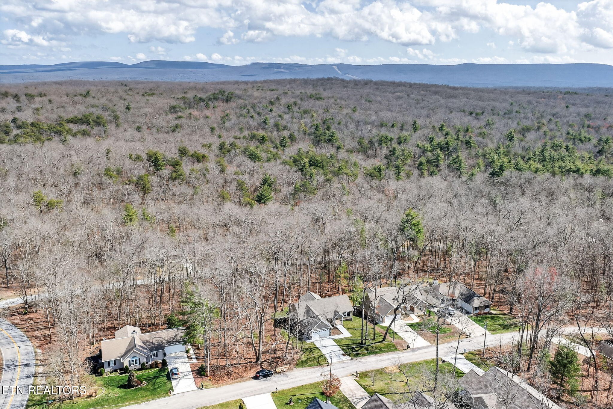 105 Peebles Road Crossville, TN 38558 - Photo 37 of 40 a view of outdoor space and mountain view