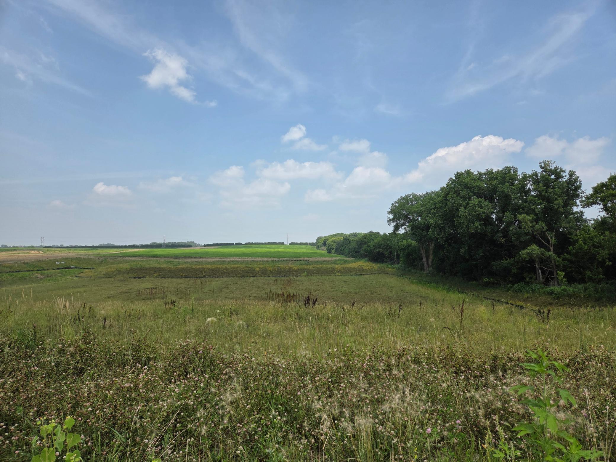 4839 Blake Way St. Paul, MN 55129 - Photo 2 of 66