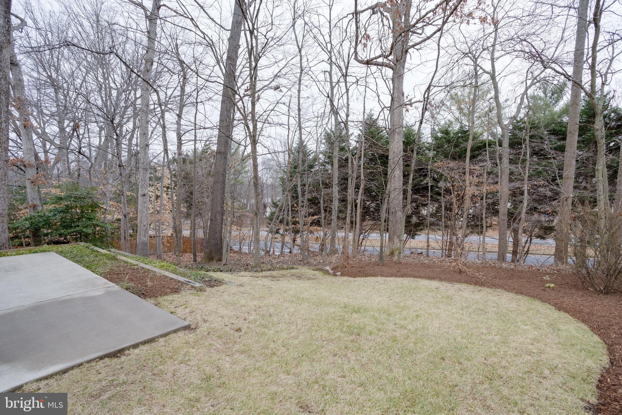 7319 Jenna Road Springfield, VA 22153 - Photo 33 of 37