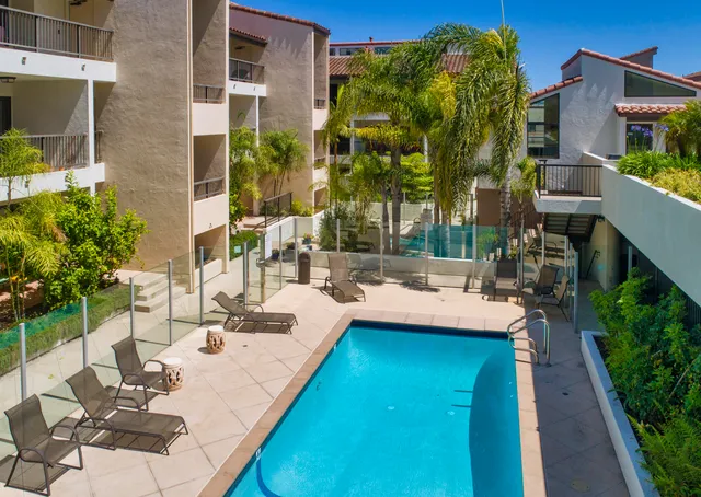 a view of a patio with couches table and chairs potted plants and palm tree