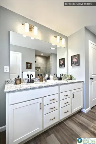 a bathroom with double vanity sink a vanity and mirrors