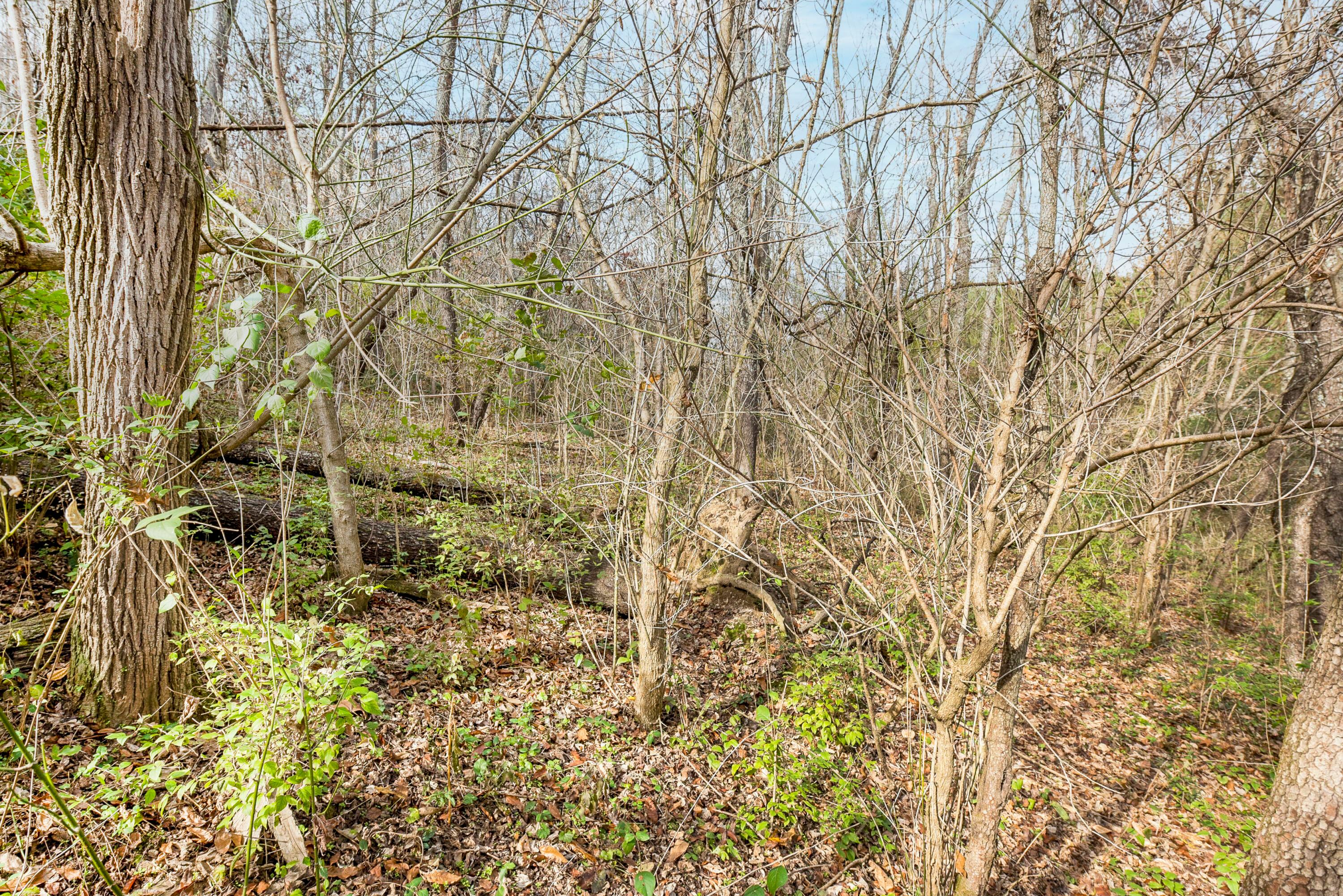 5659 Sheets Road Logan, OH 43138 - Photo 20 of 36 17