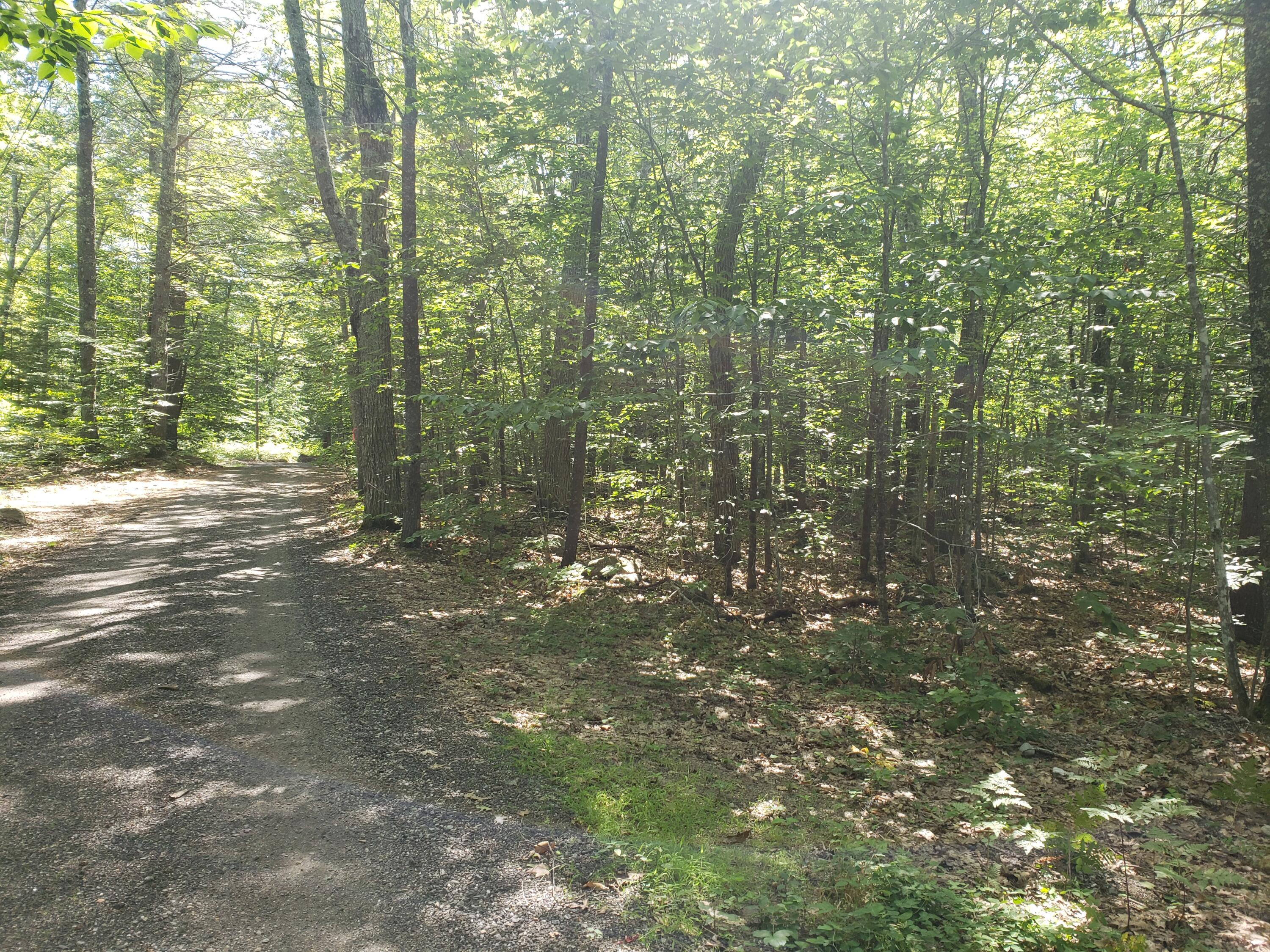 0 Twin Pines Road Raymond, ME 04071 - Photo 3 of 7 20210903_132457