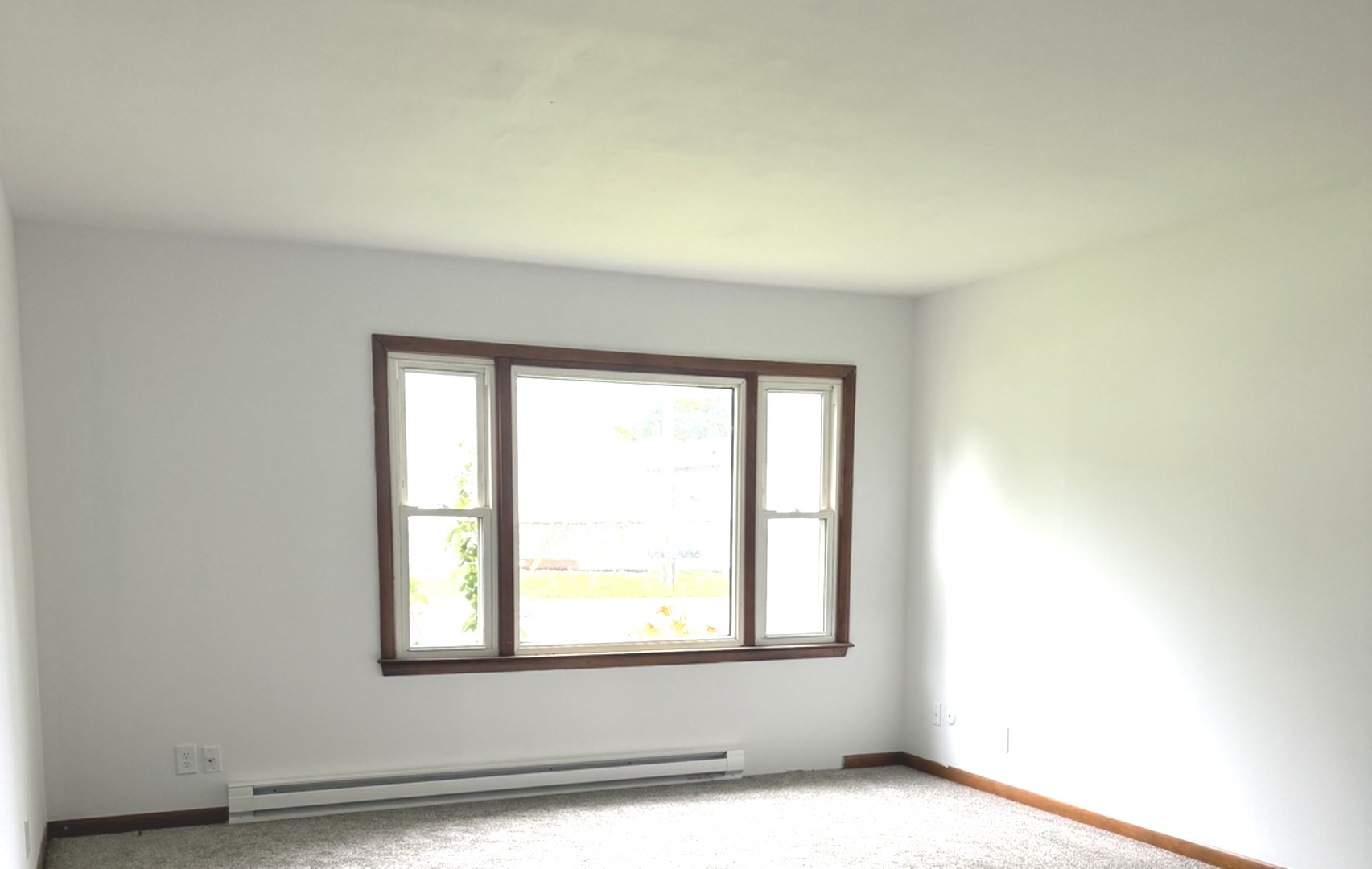 709 West McKinley Street Harvard, IL 60033 - Photo 7 of 23