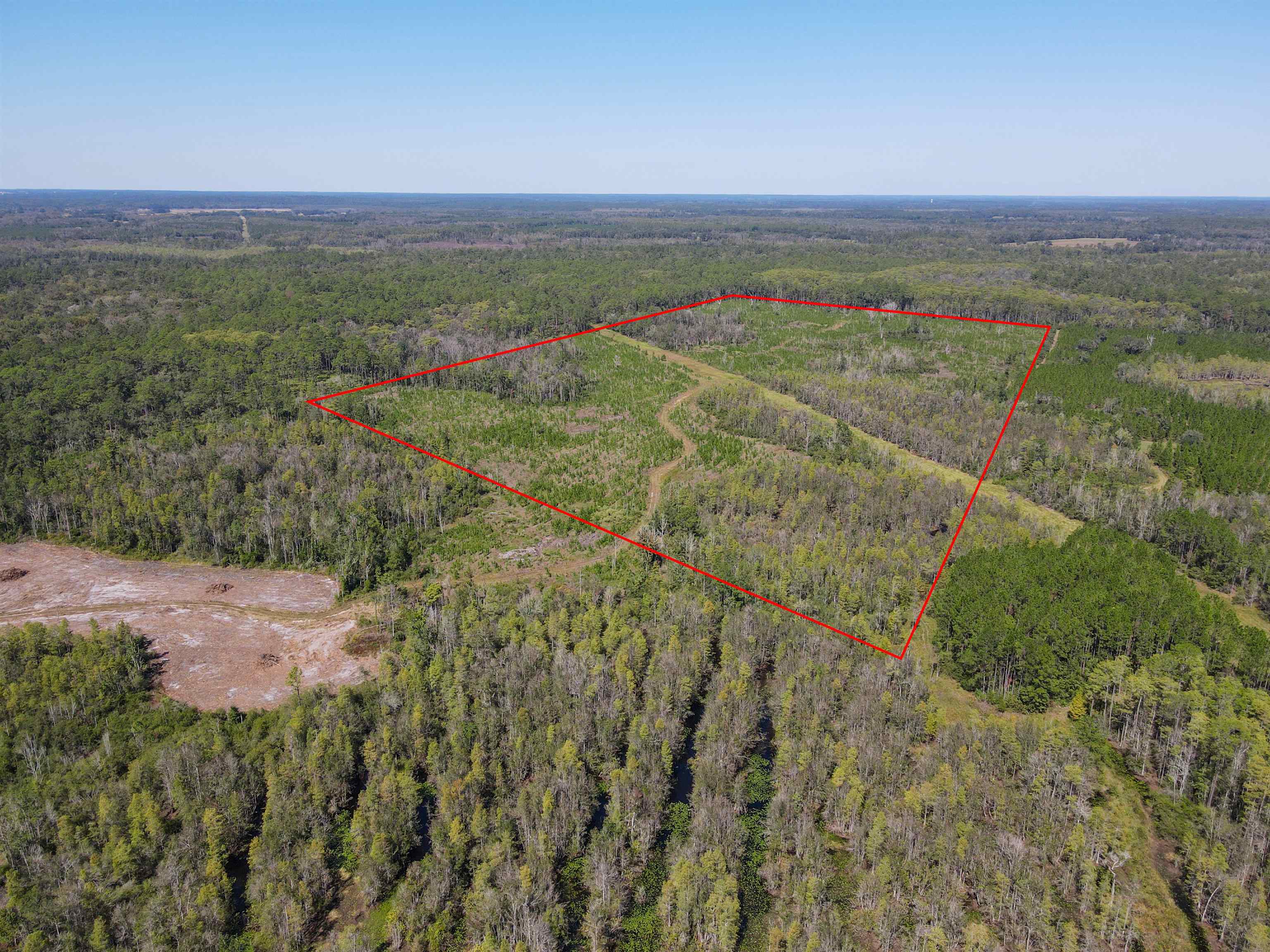 0 Southwest Mount Gilead Road Greenville, FL 32331 - Photo 7 of 33