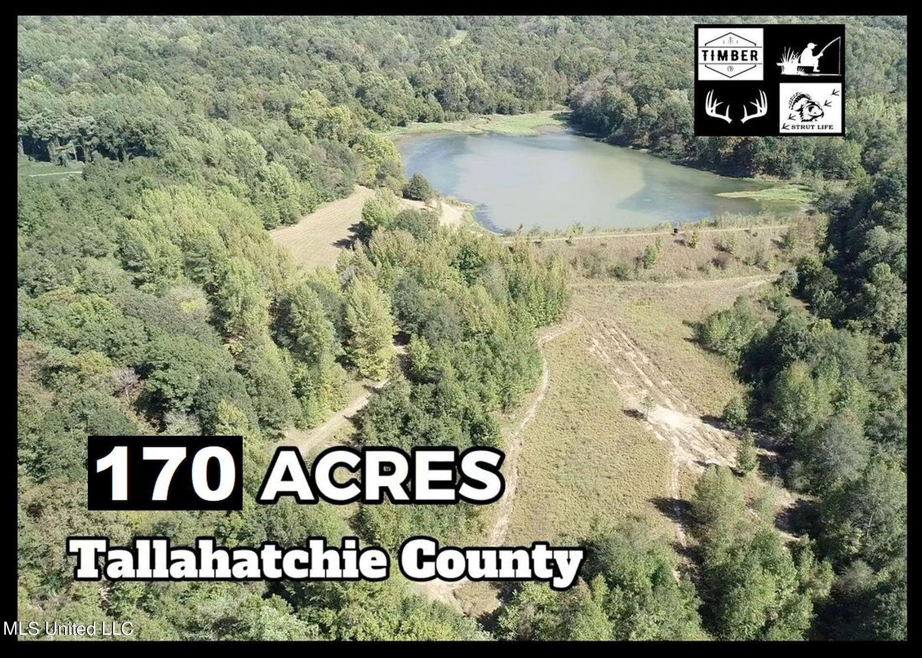 81 Cascilla Road Holcomb, MS 38940 - Photo 1 of 119 170 AC - Cascilla Ridge