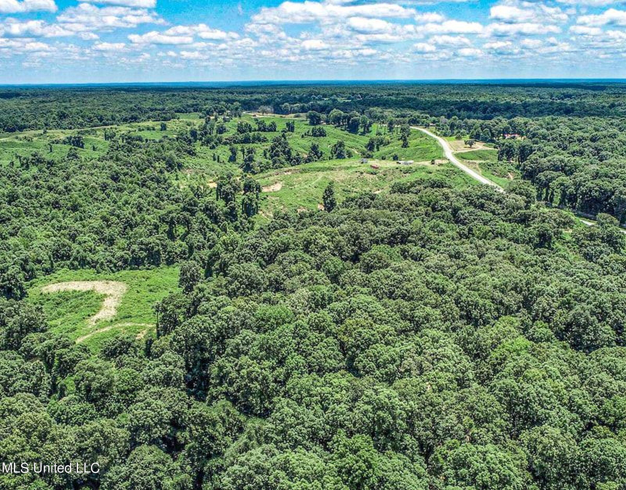 81 Cascilla Road Holcomb, MS 38940 - Photo 118 of 119 5prgv30