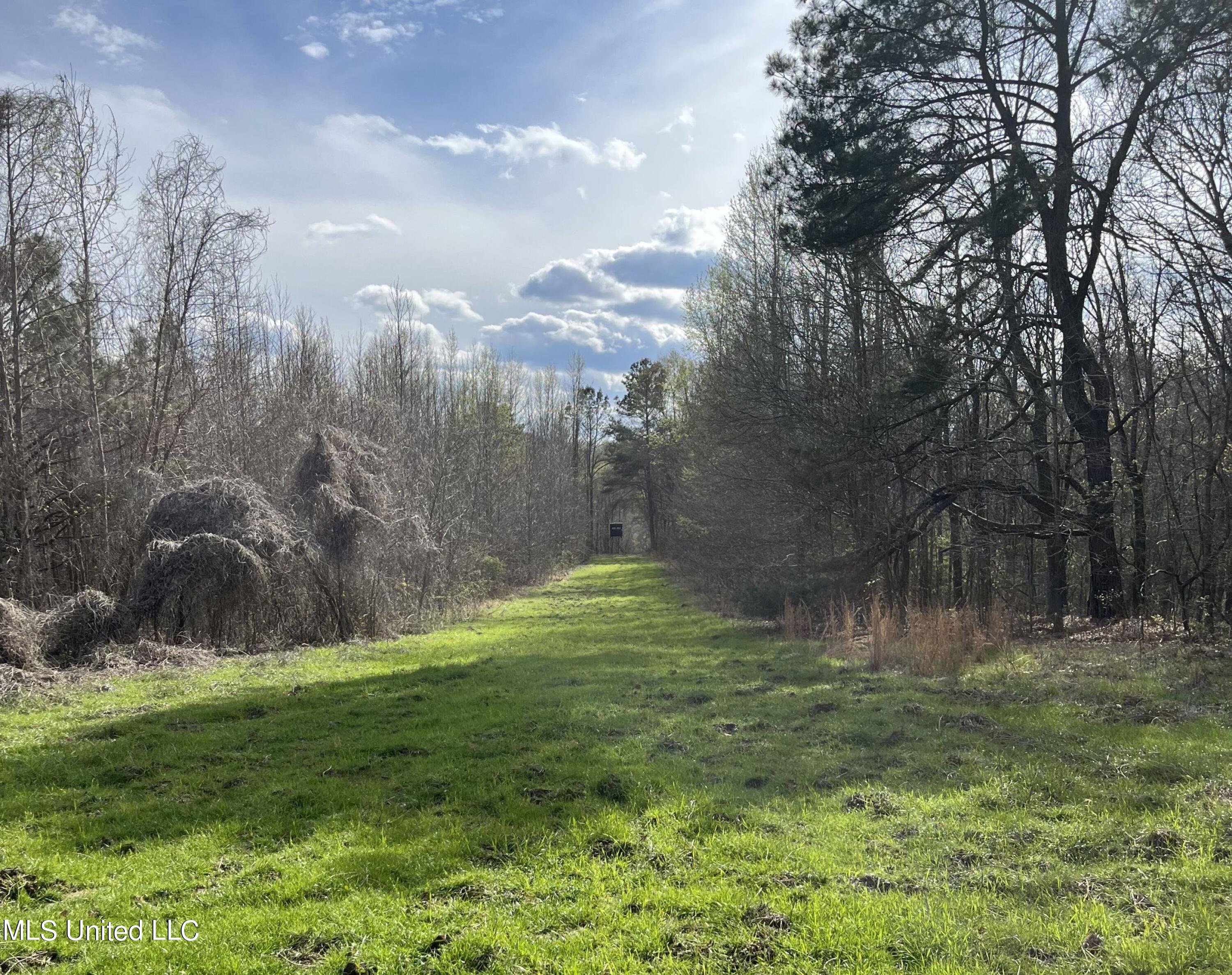 81 Cascilla Road Holcomb, MS 38940 - Photo 13 of 119 csrd14