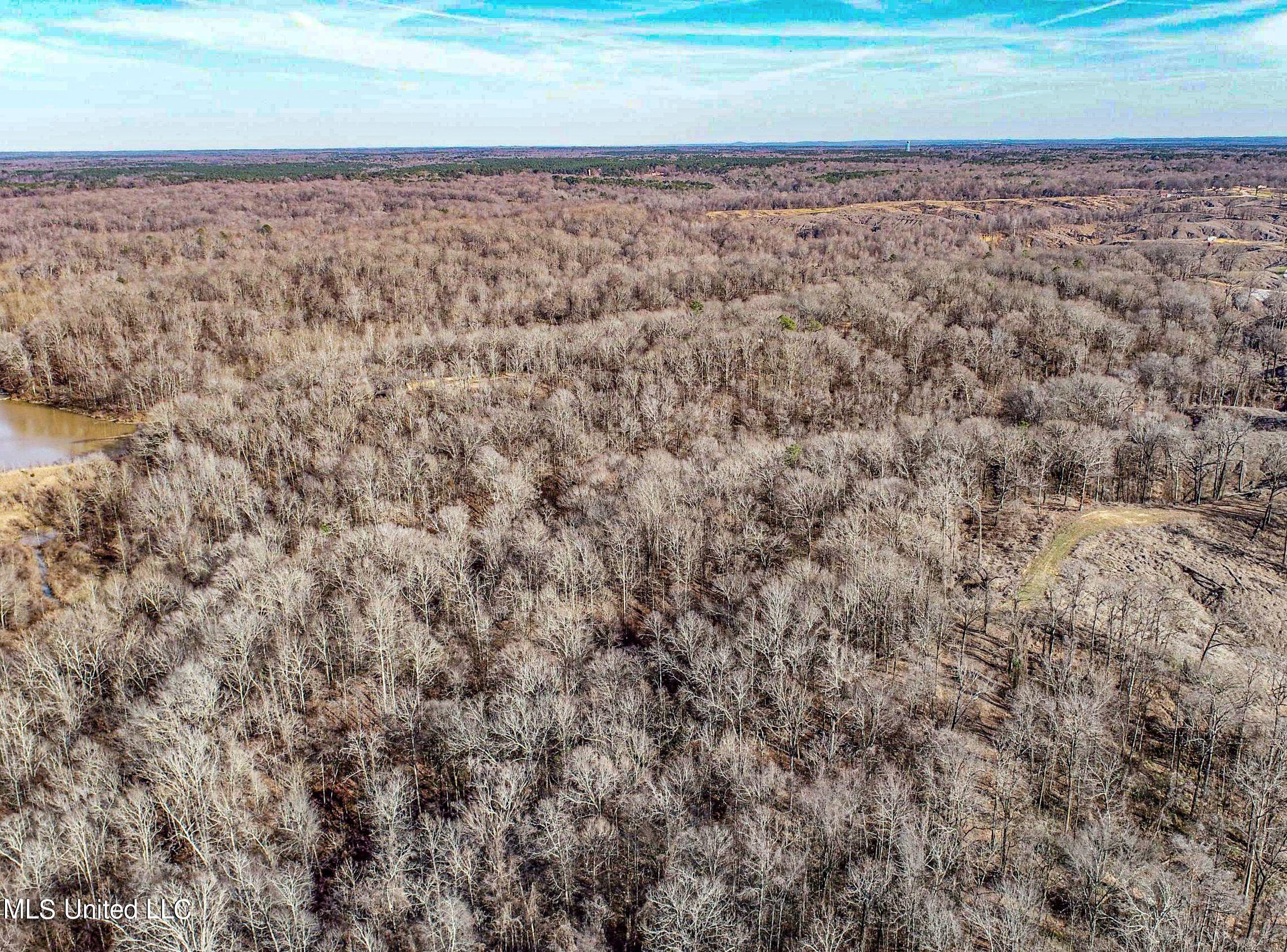 81 Cascilla Road Holcomb, MS 38940 - Photo 16 of 119 2prgv4