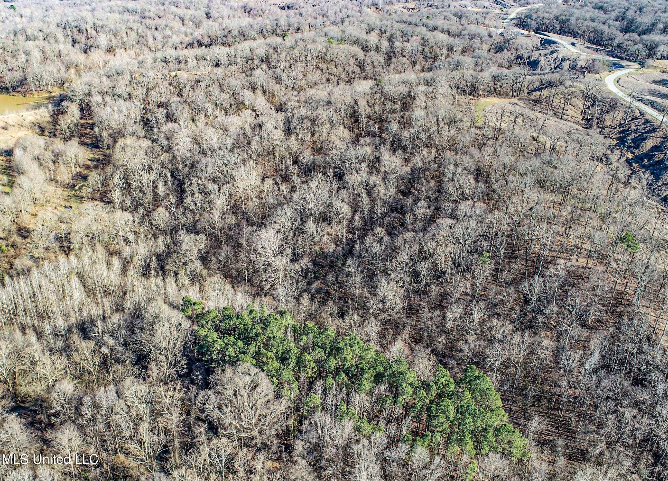 81 Cascilla Road Holcomb, MS 38940 - Photo 22 of 119 2prgv3