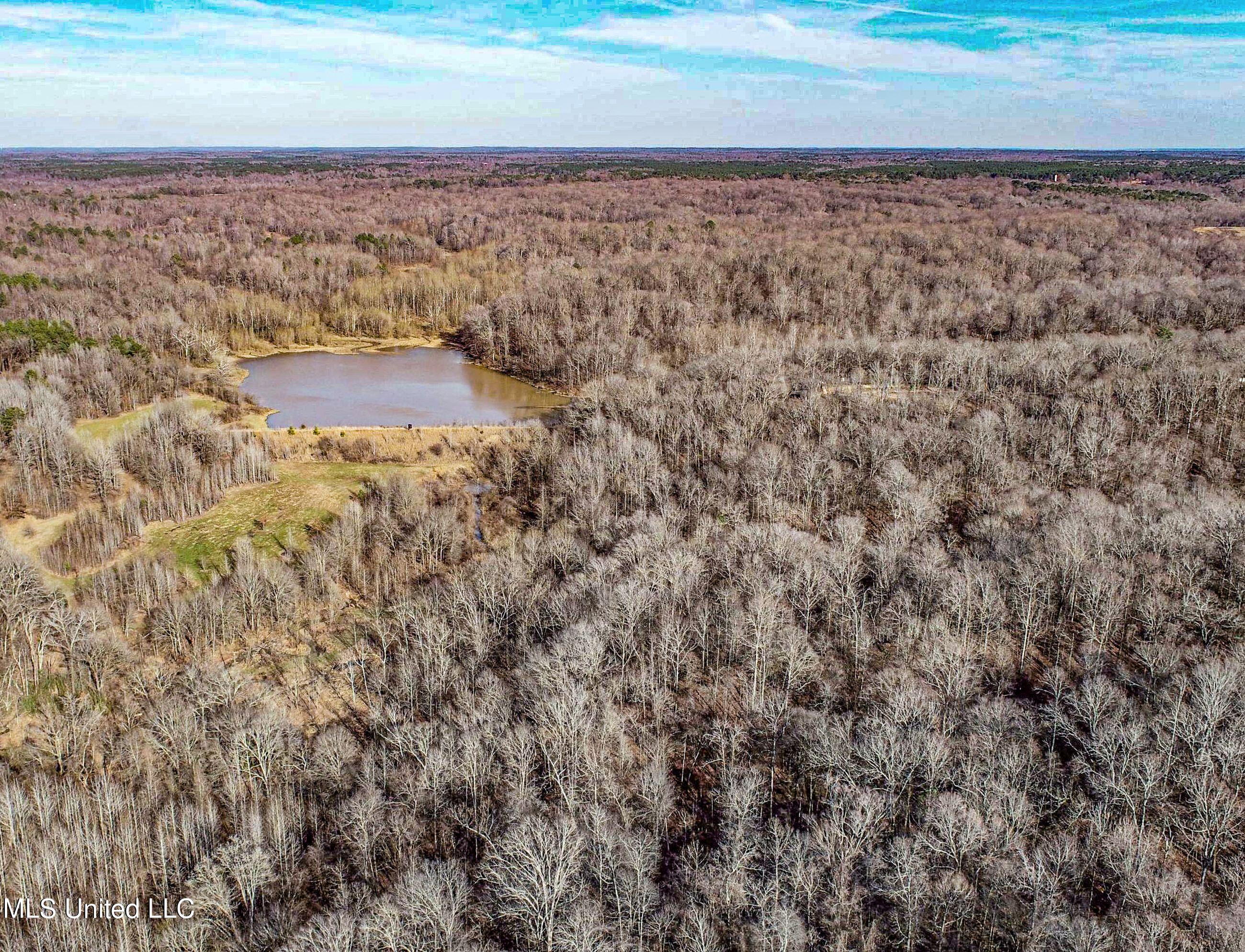 81 Cascilla Road Holcomb, MS 38940 - Photo 23 of 119 2prgv5
