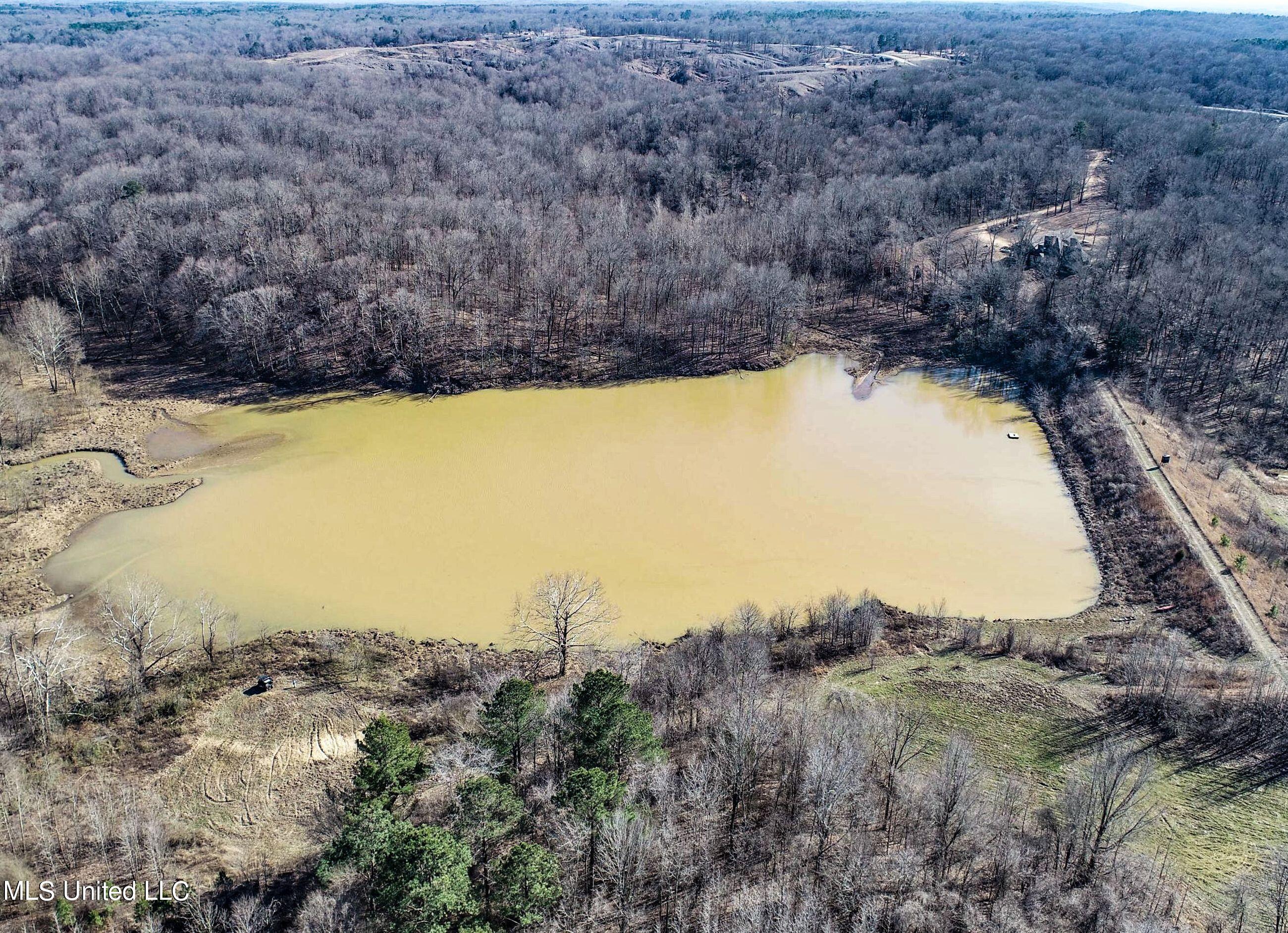 81 Cascilla Road Holcomb, MS 38940 - Photo 26 of 119 2prgv9