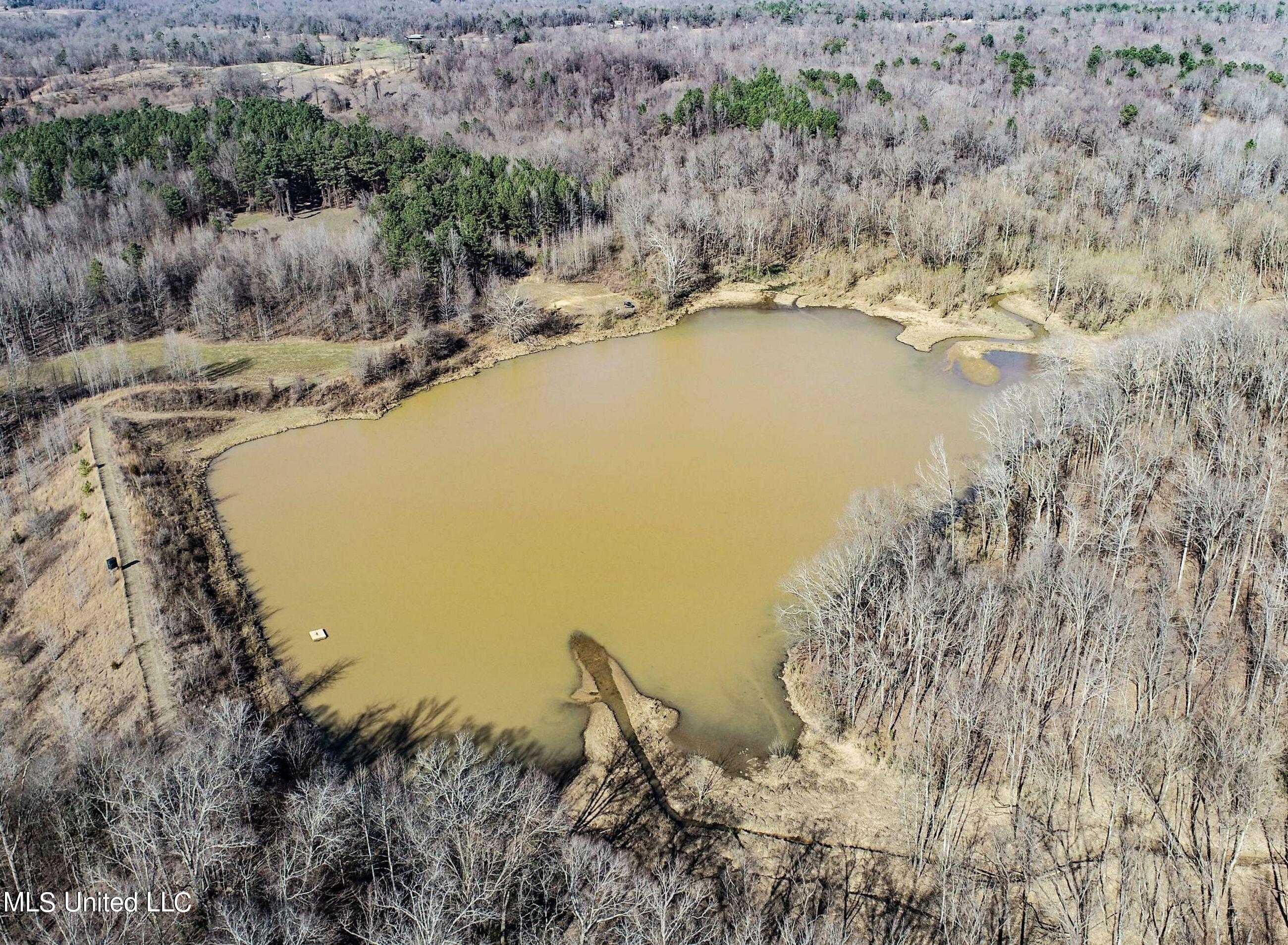81 Cascilla Road Holcomb, MS 38940 - Photo 29 of 119 2prgv12