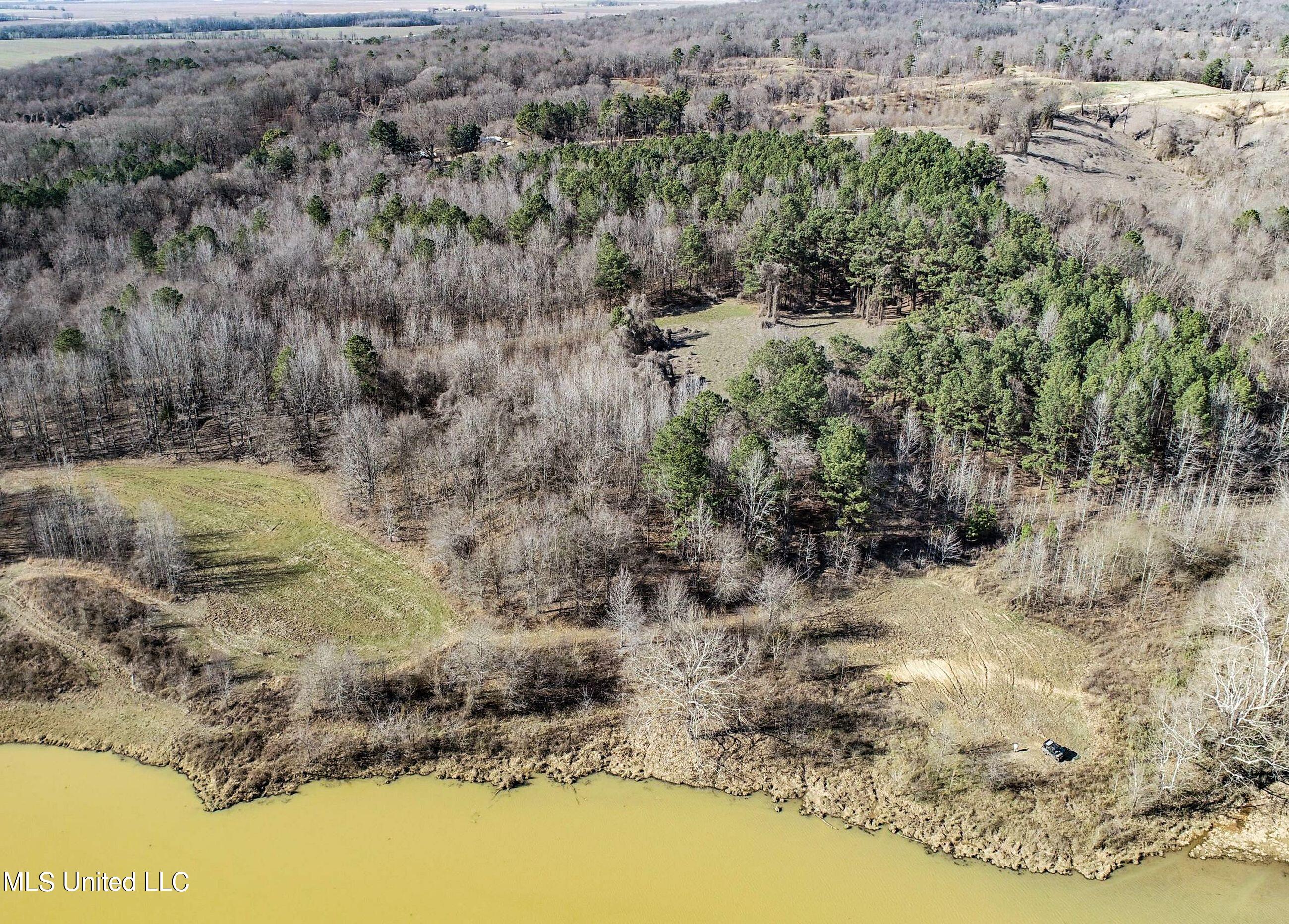 81 Cascilla Road Holcomb, MS 38940 - Photo 32 of 119 2prgv14