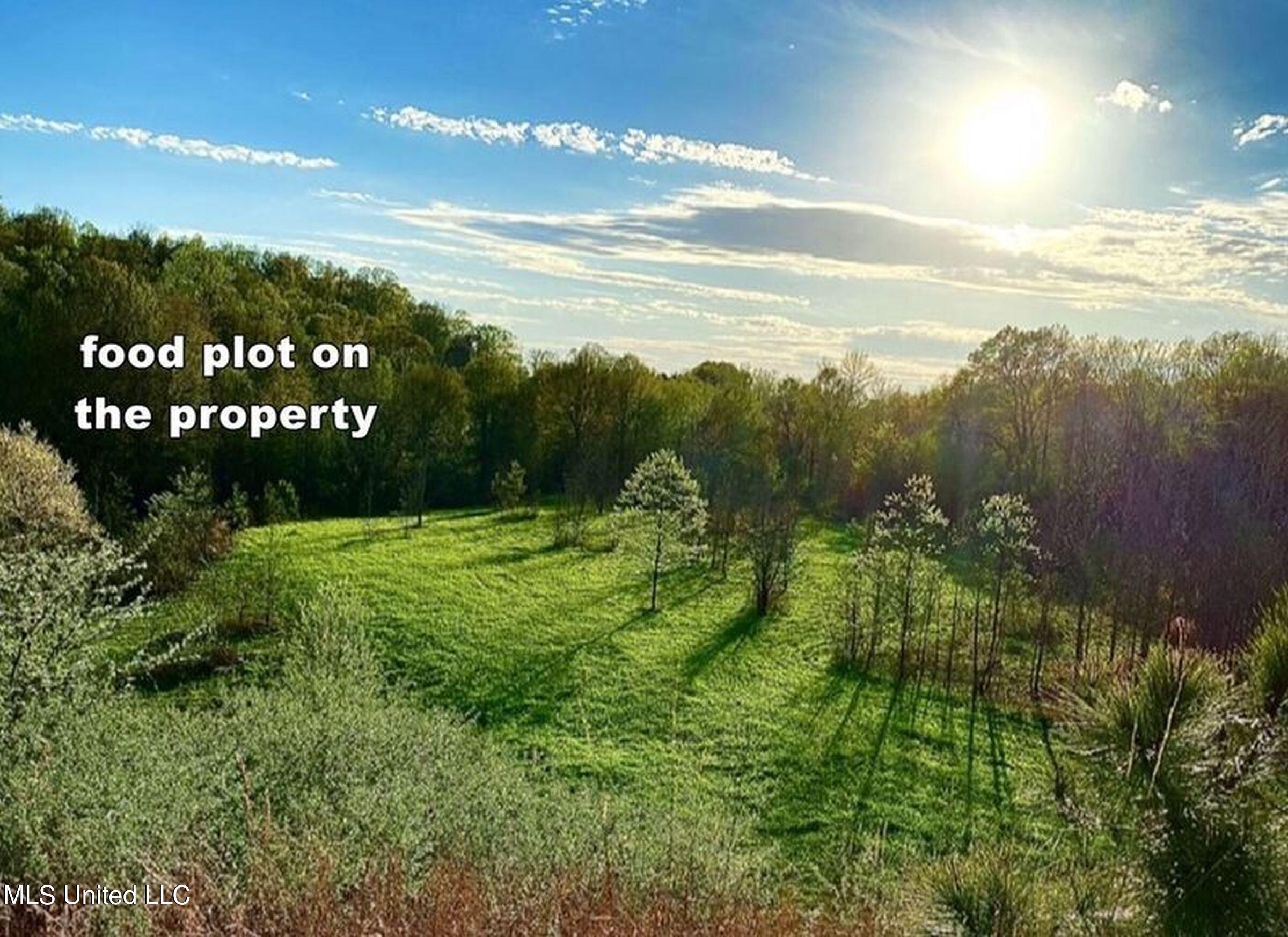 81 Cascilla Road Holcomb, MS 38940 - Photo 36 of 119 2prgv17a
