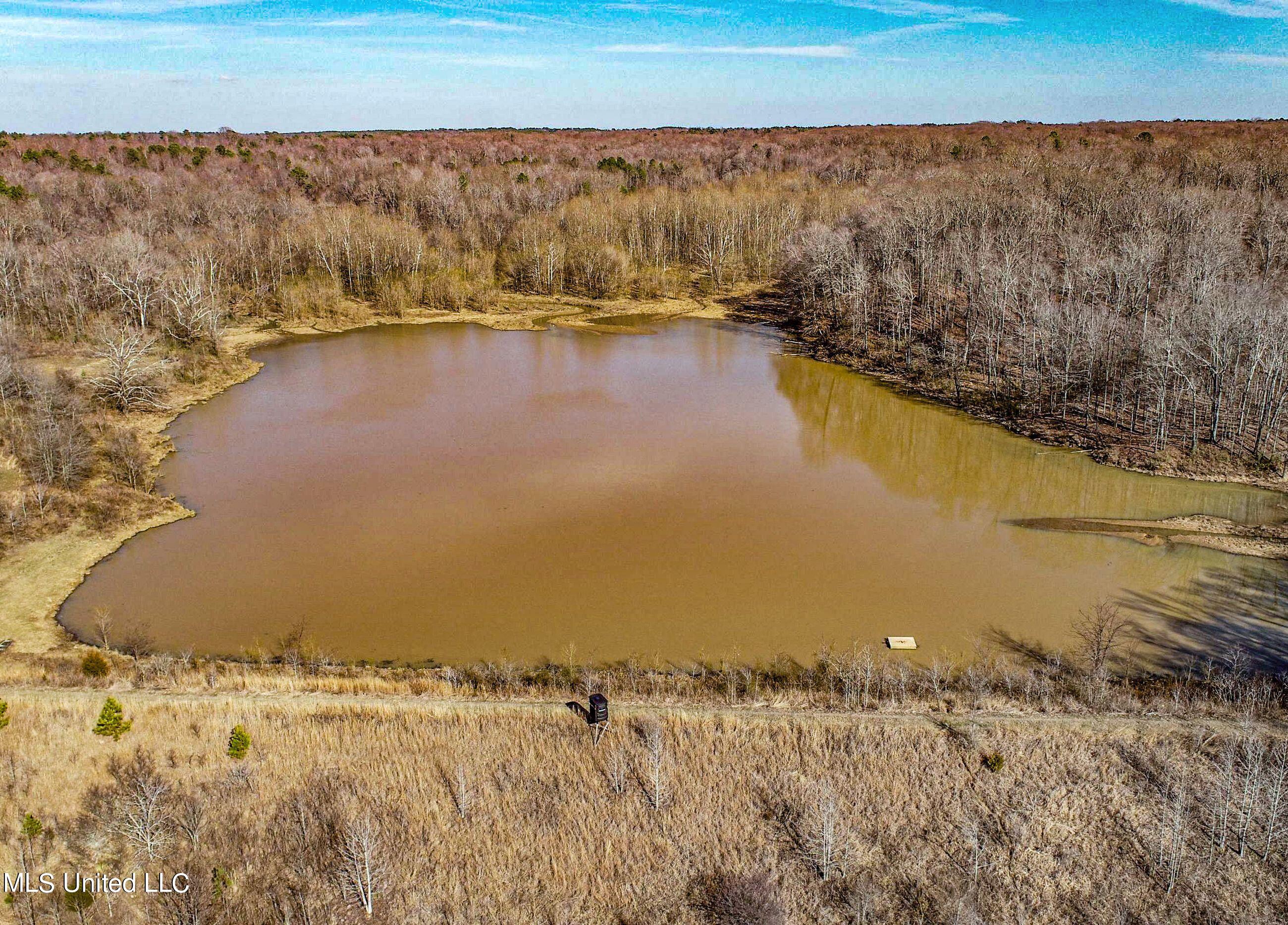 81 Cascilla Road Holcomb, MS 38940 - Photo 40 of 119 2prgv22
