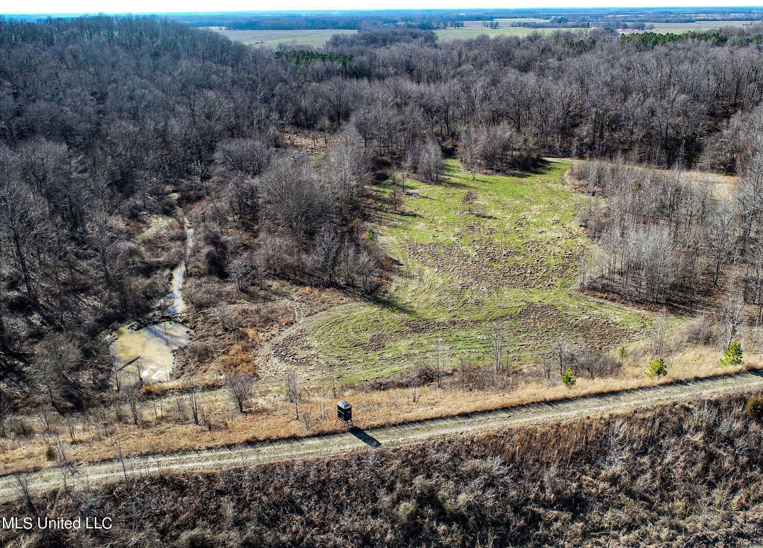 81 Cascilla Road Holcomb, MS 38940 - Photo 42 of 119 2prgv24