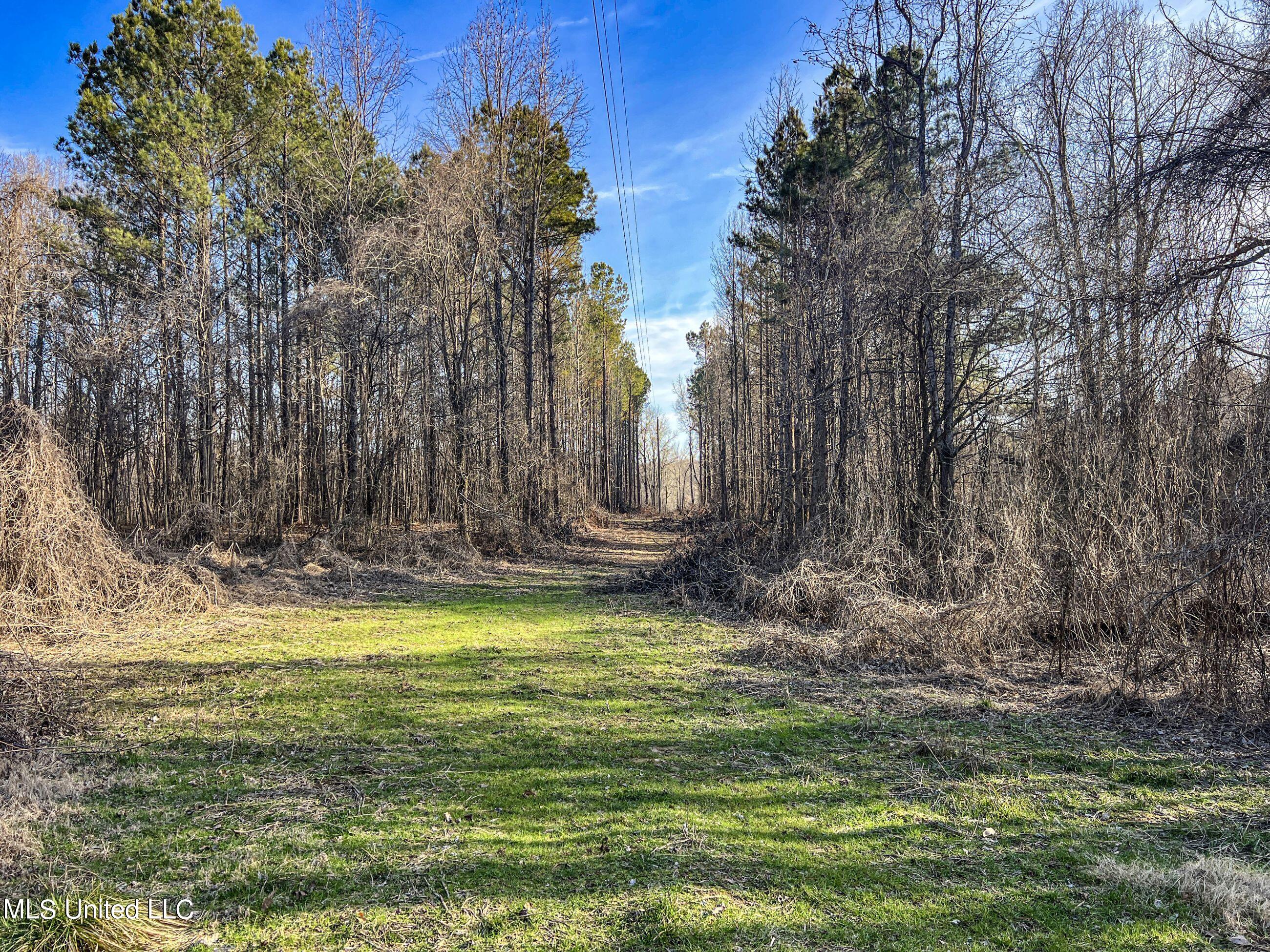 81 Cascilla Road Holcomb, MS 38940 - Photo 45 of 119 4prgv2