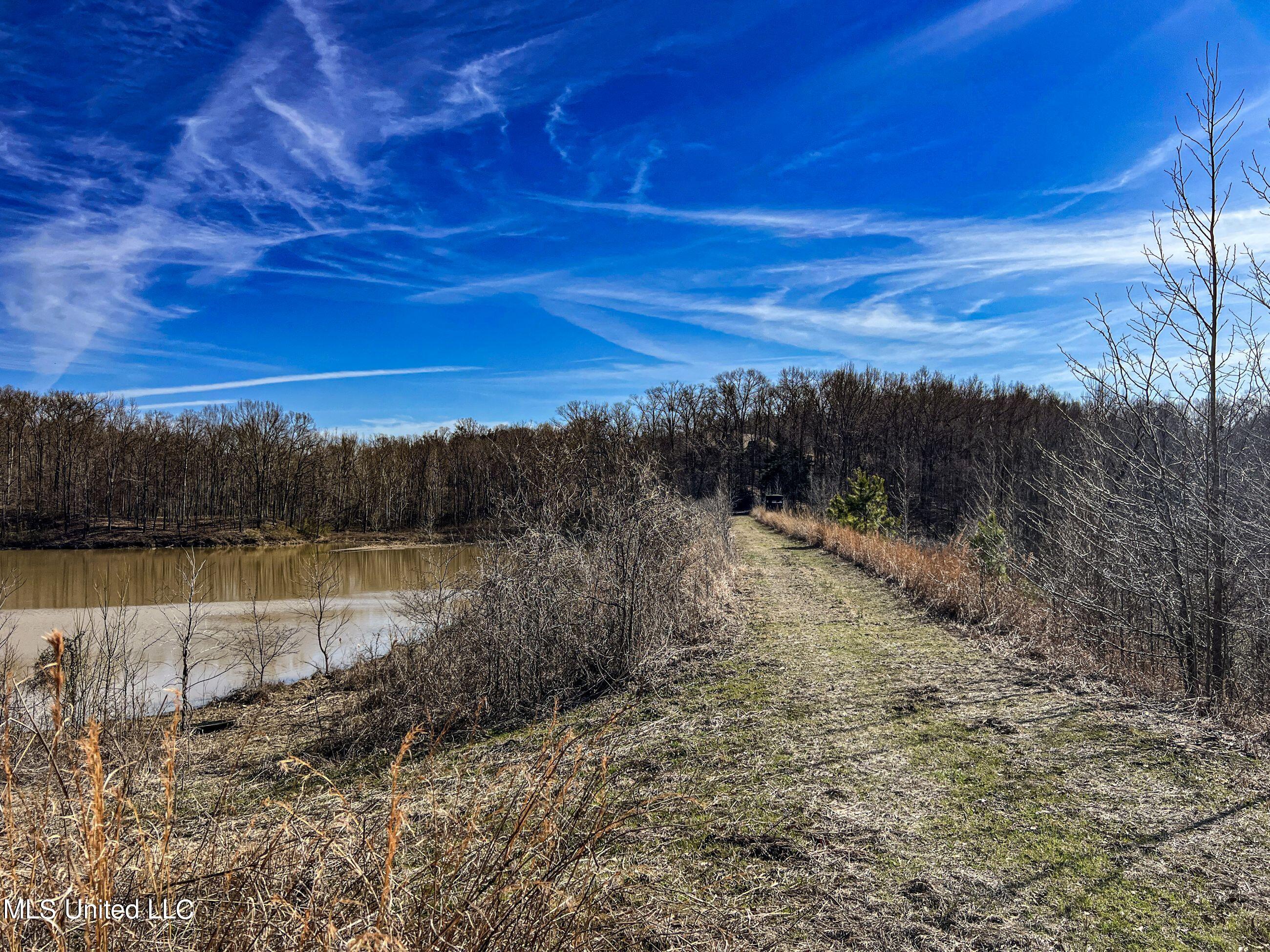 81 Cascilla Road Holcomb, MS 38940 - Photo 53 of 119 4prgv15