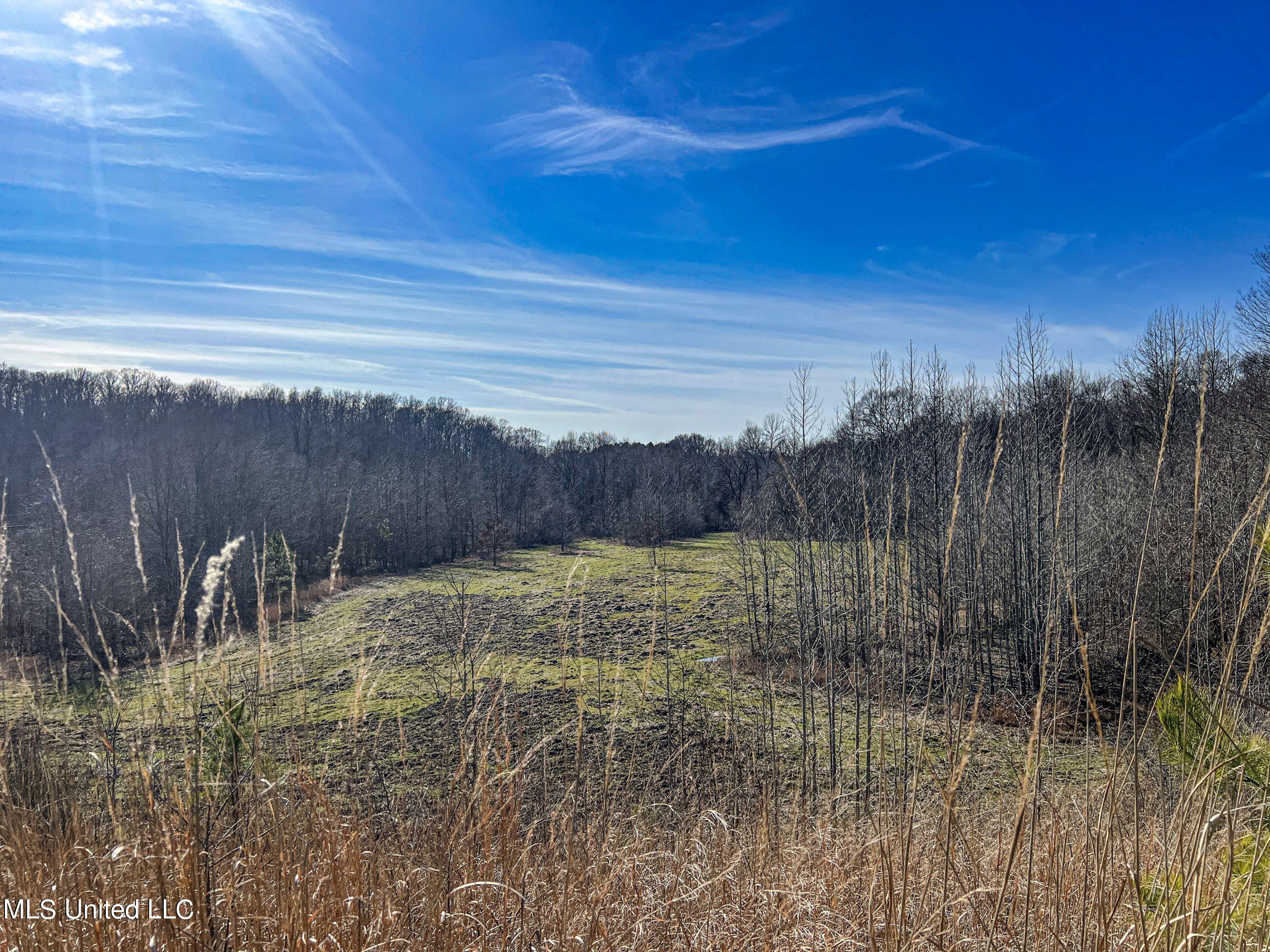 81 Cascilla Road Holcomb, MS 38940 - Photo 59 of 119 4prgv24