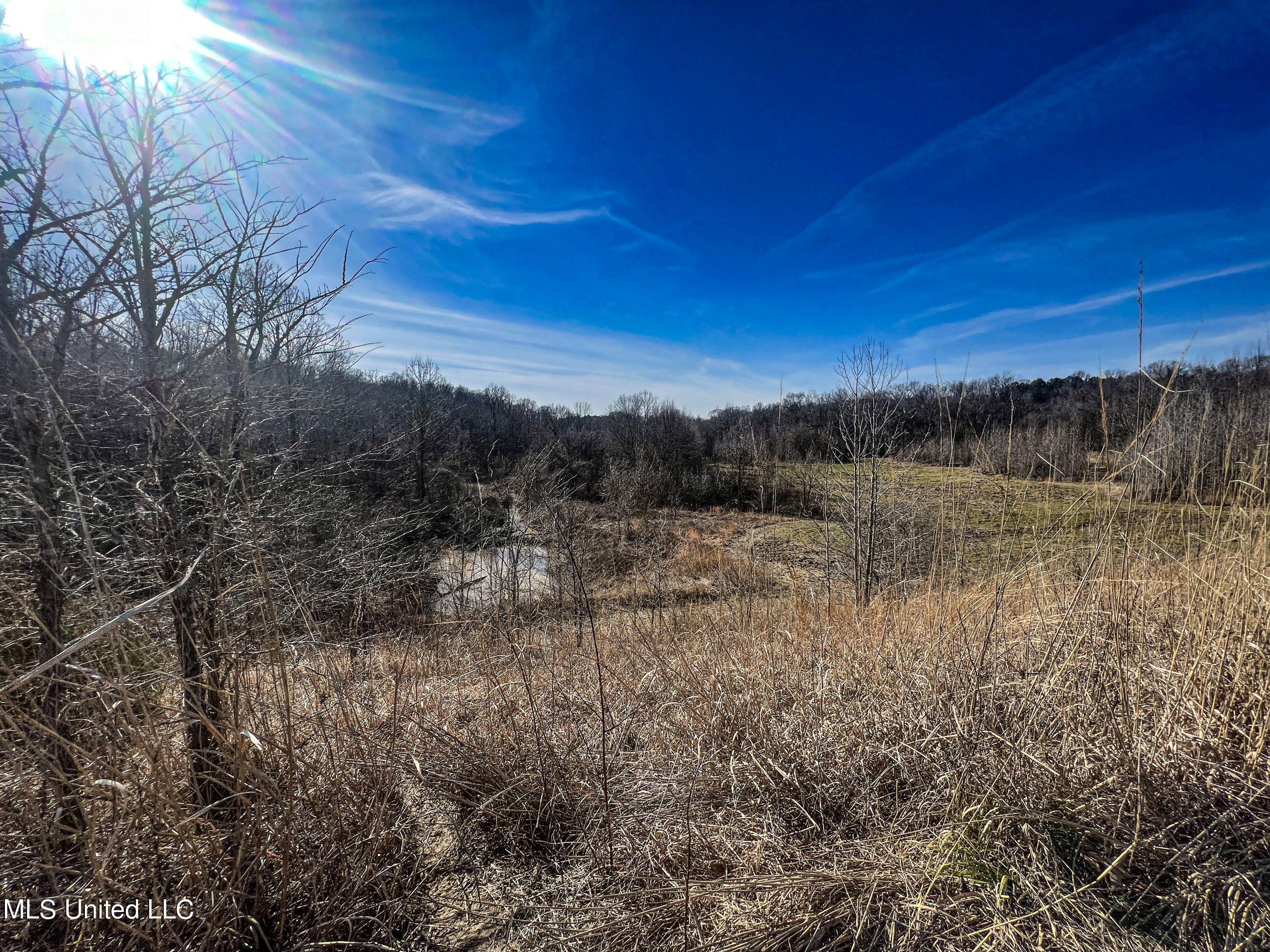 81 Cascilla Road Holcomb, MS 38940 - Photo 63 of 119 4prgv28