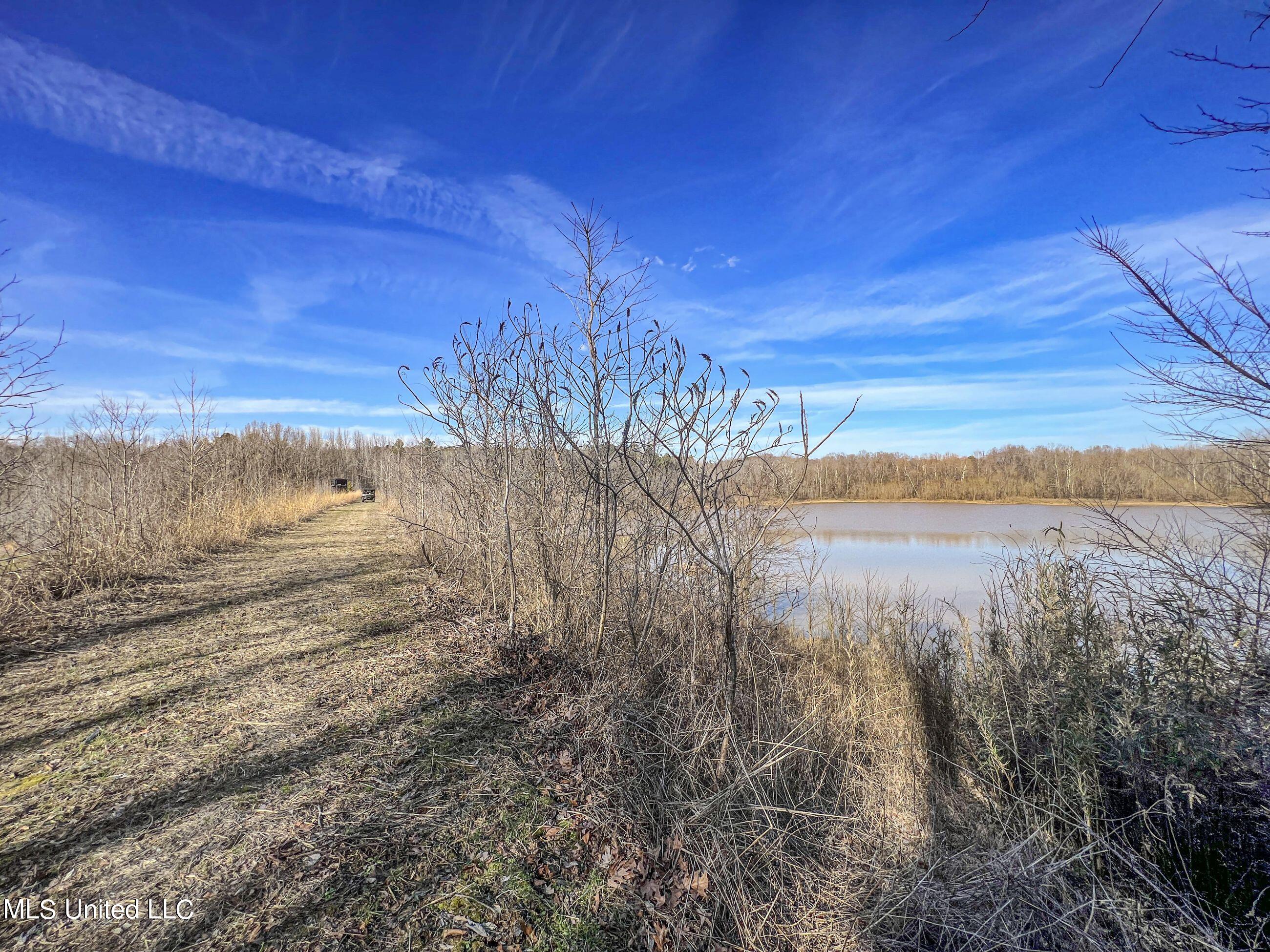 81 Cascilla Road Holcomb, MS 38940 - Photo 65 of 119 4prgv30