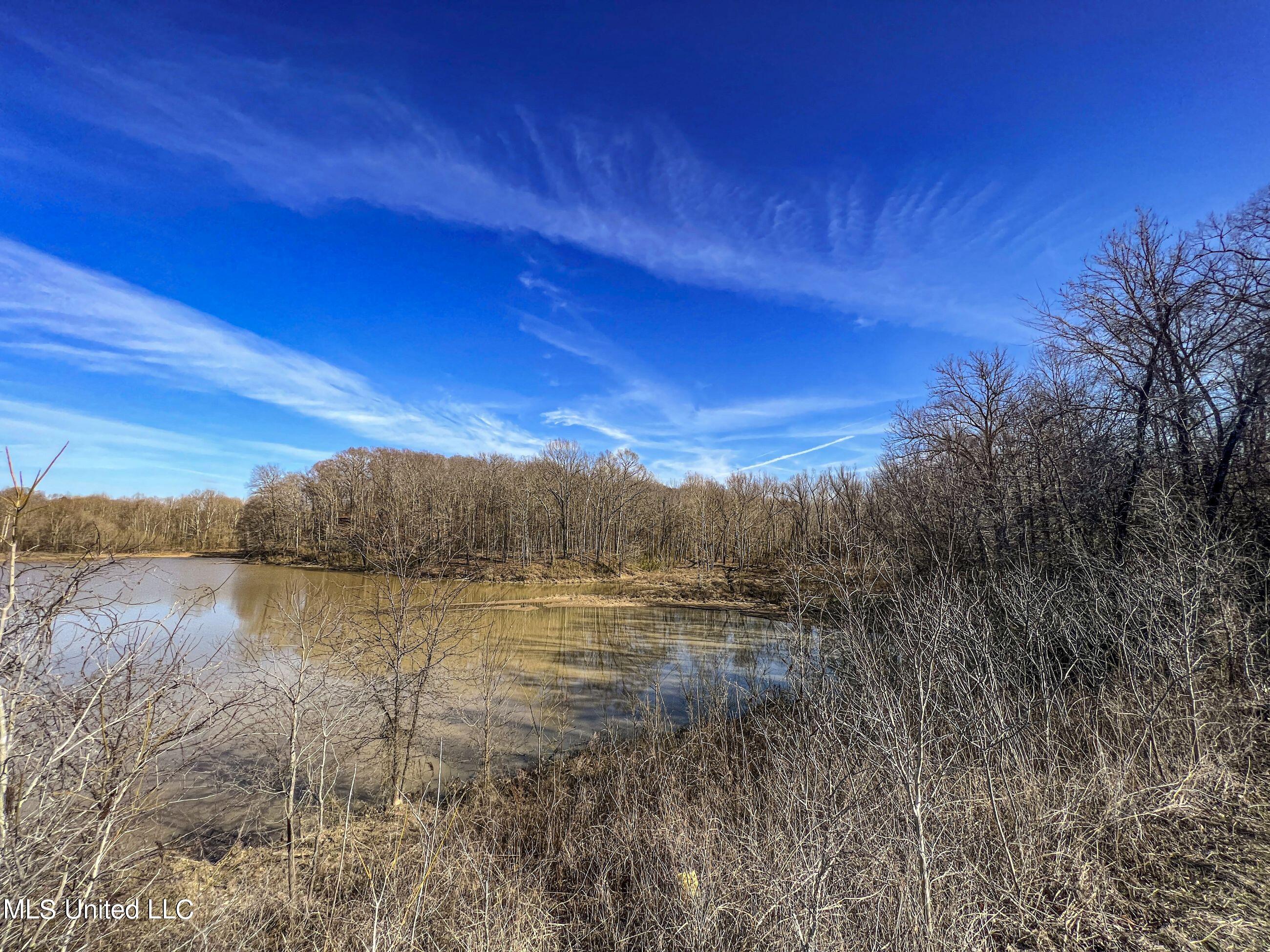 81 Cascilla Road Holcomb, MS 38940 - Photo 66 of 119 4prgv32