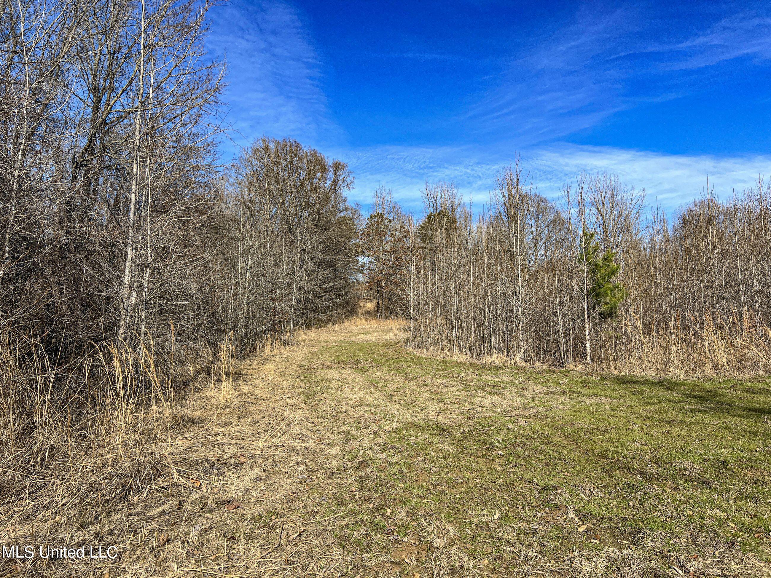 81 Cascilla Road Holcomb, MS 38940 - Photo 70 of 119 4prgv36
