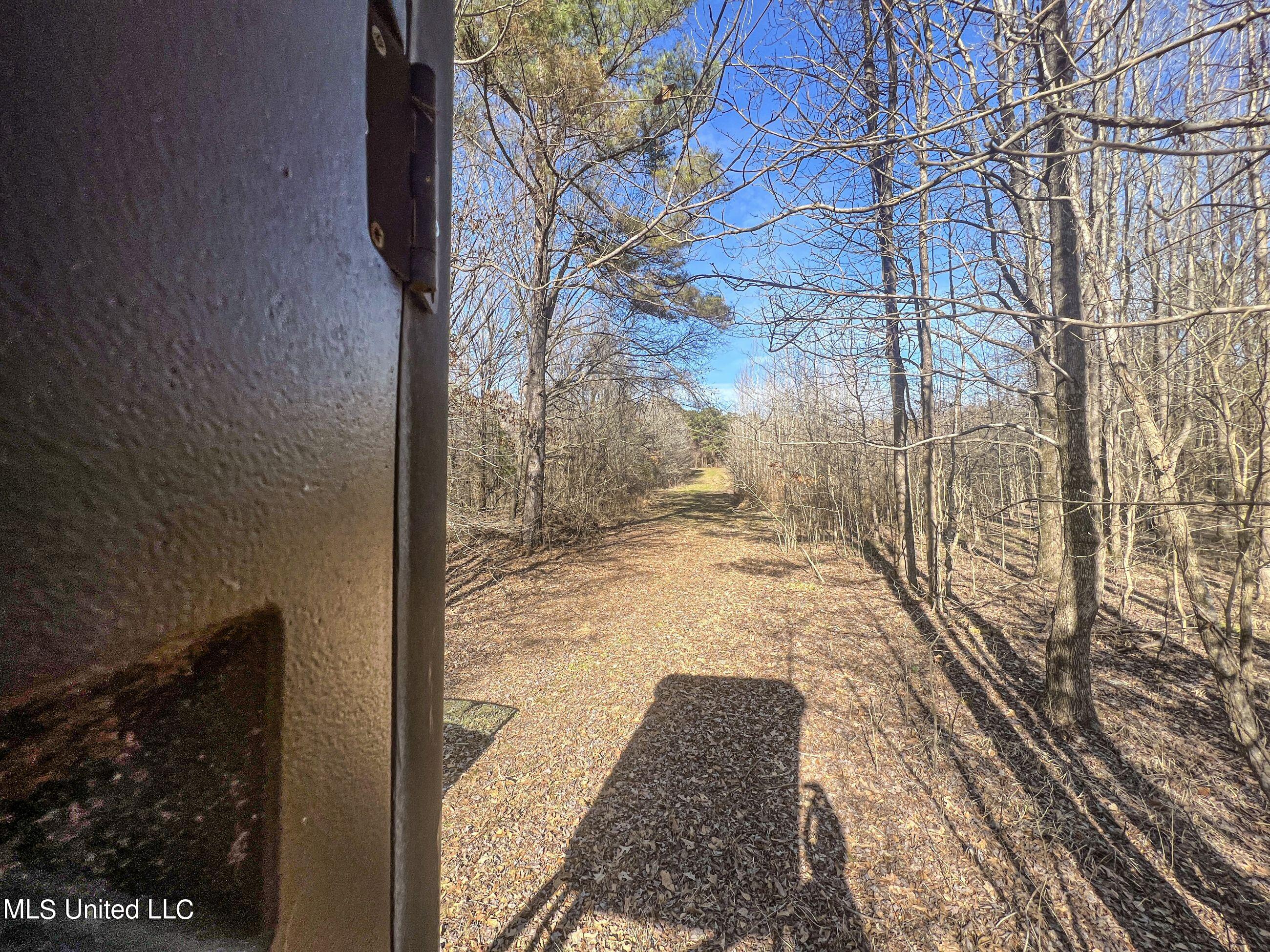 81 Cascilla Road Holcomb, MS 38940 - Photo 73 of 119 4prgv40