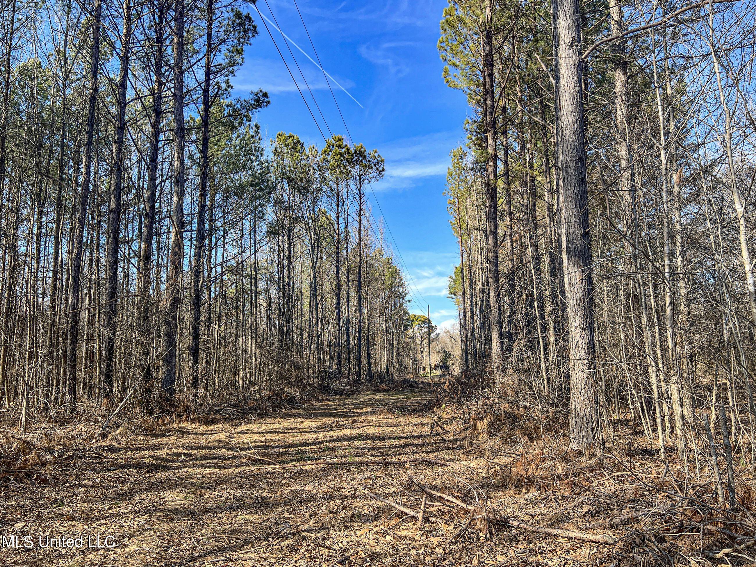 81 Cascilla Road Holcomb, MS 38940 - Photo 76 of 119 4prgv46