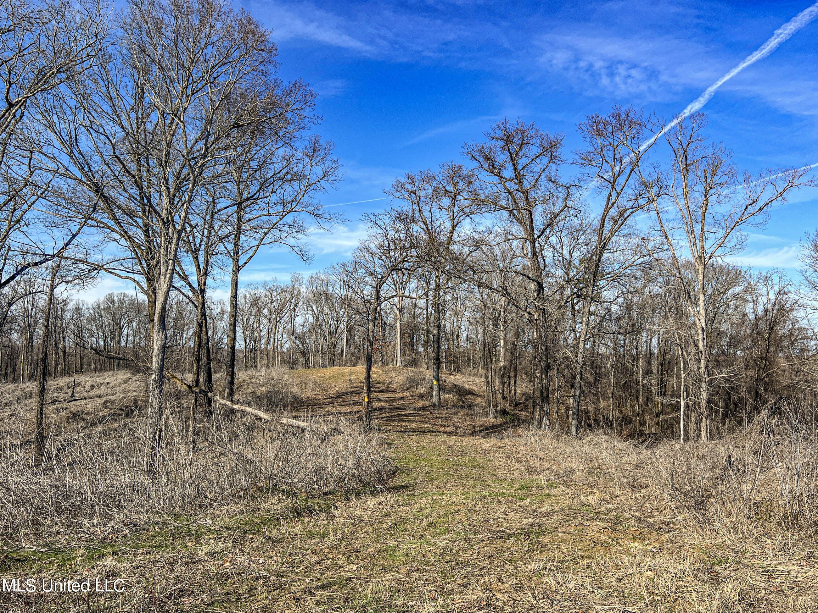 81 Cascilla Road Holcomb, MS 38940 - Photo 81 of 119 4prgv56