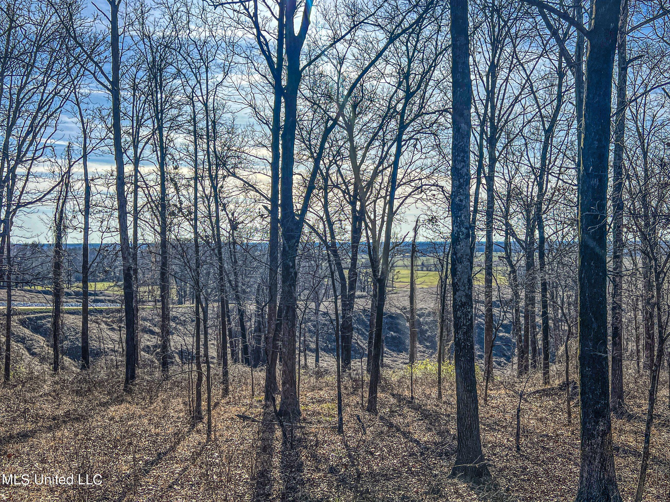 81 Cascilla Road Holcomb, MS 38940 - Photo 85 of 119 4prgv65