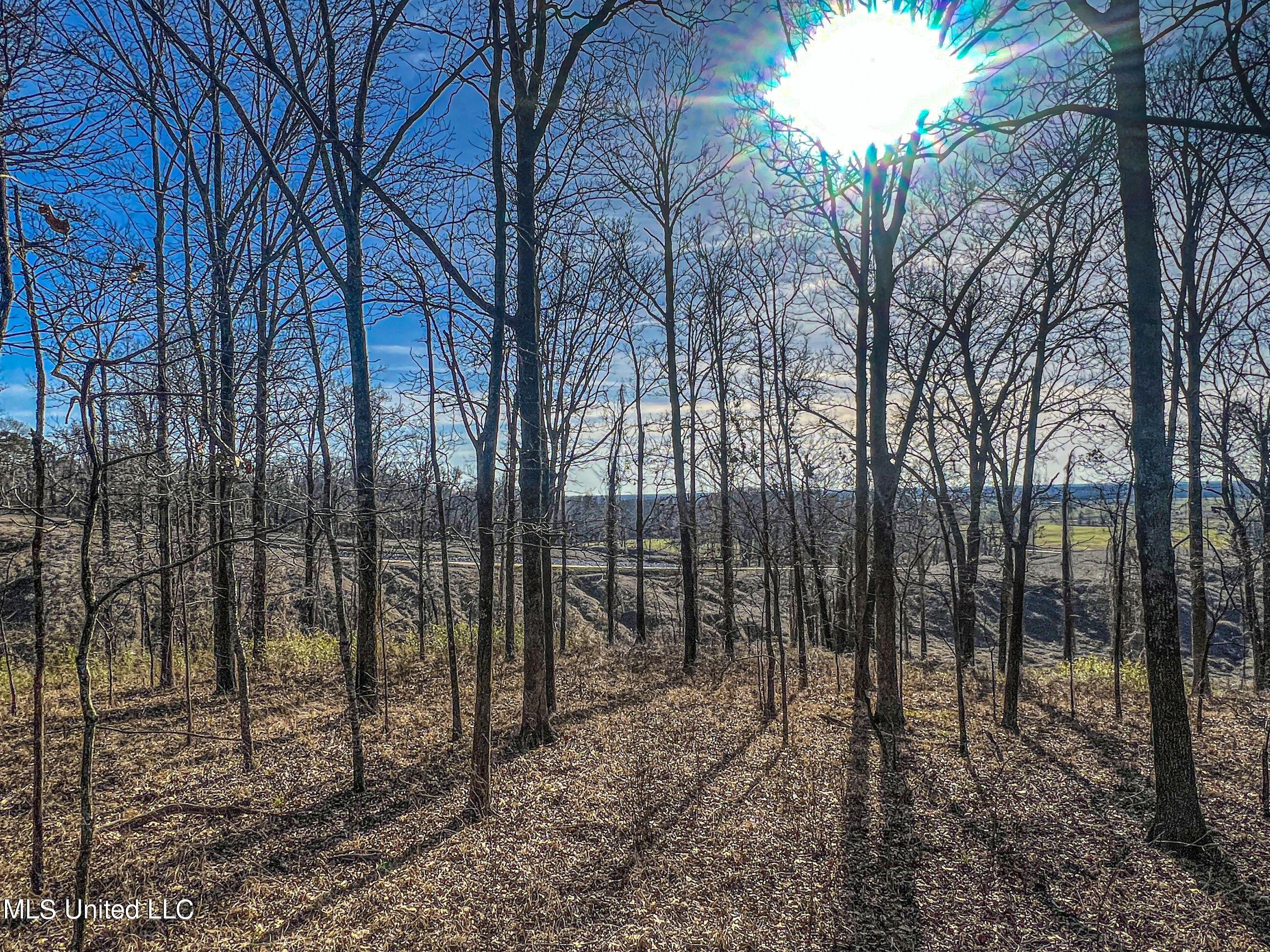 81 Cascilla Road Holcomb, MS 38940 - Photo 86 of 119 4prgv68