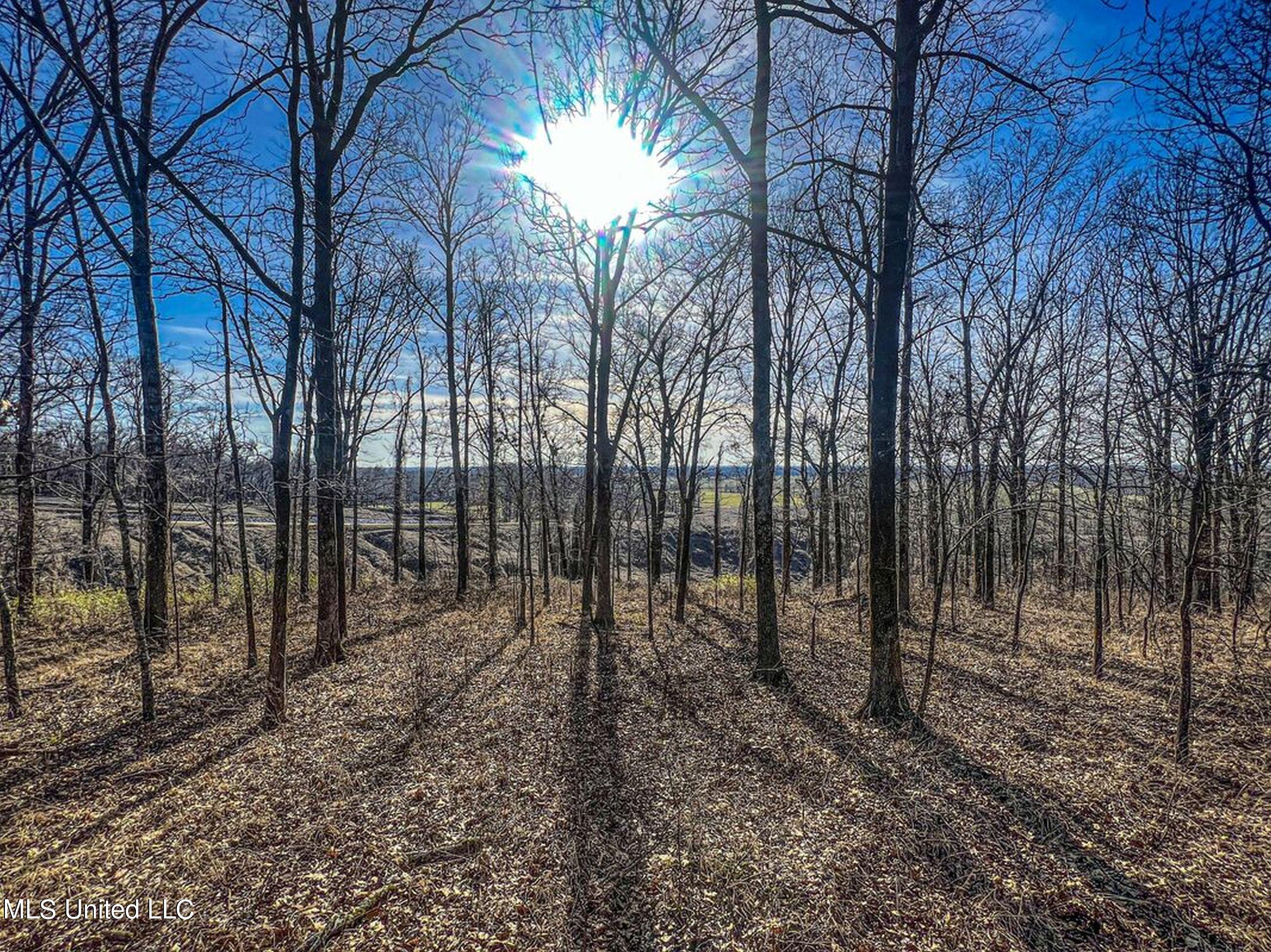 81 Cascilla Road Holcomb, MS 38940 - Photo 9 of 119 csrd11