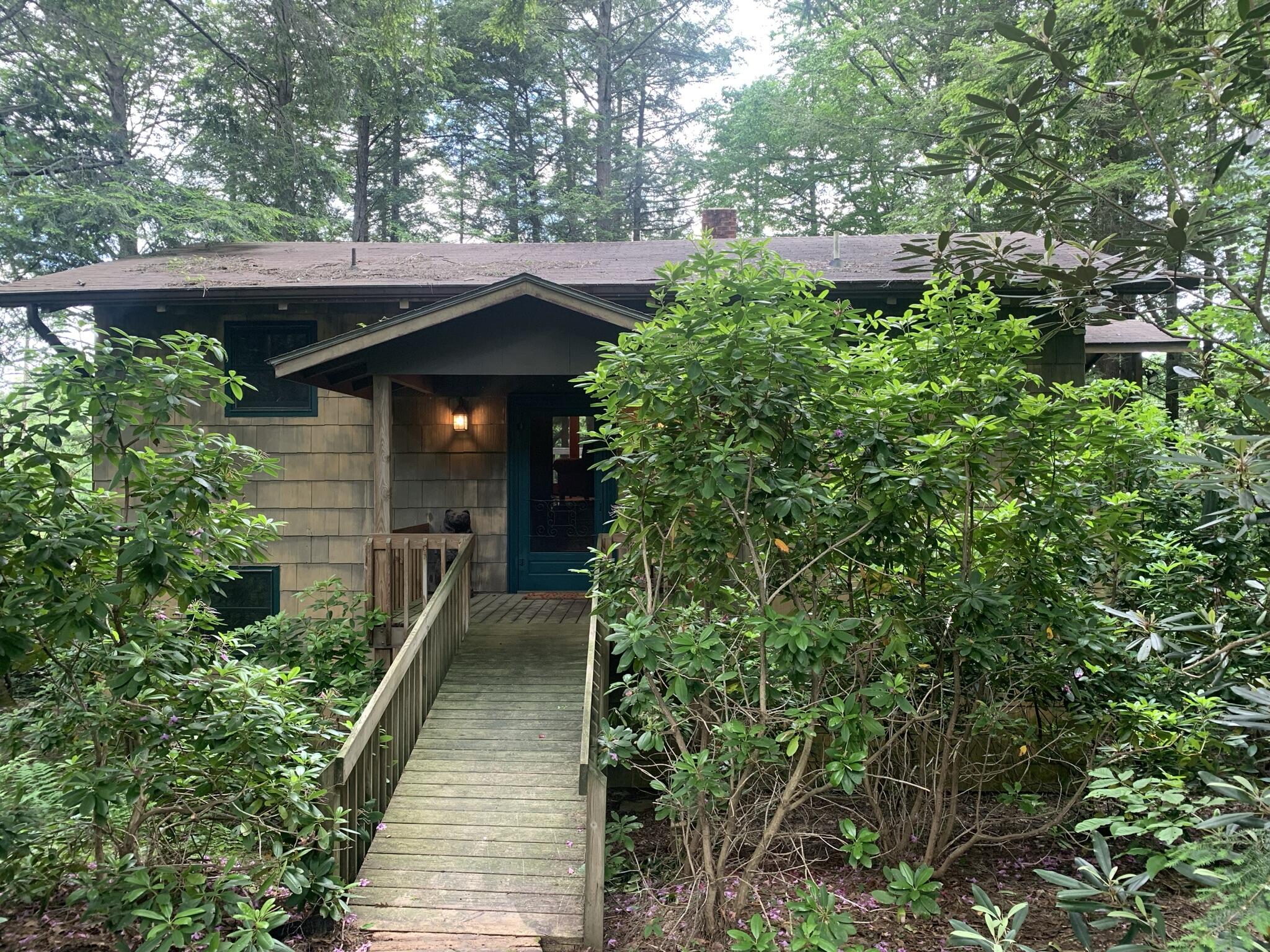 274 Ripshin Lake Road Roan Mountain, TN 37687 - Photo 1 of 62 IMG_0580