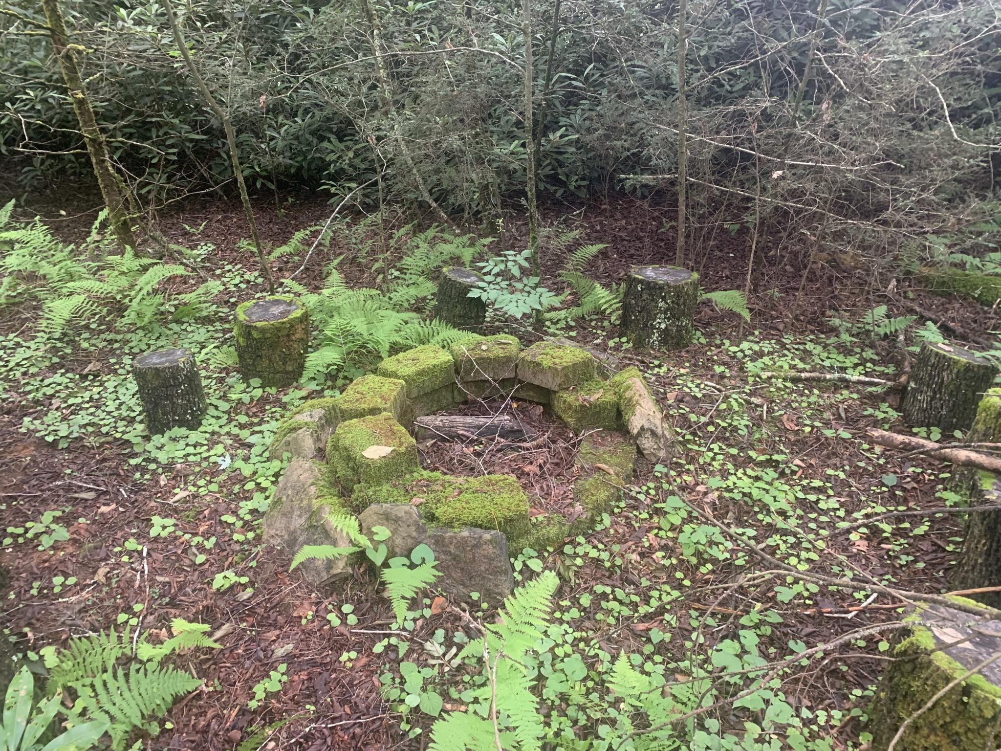 274 Ripshin Lake Road Roan Mountain, TN 37687 - Photo 11 of 62 fire pit